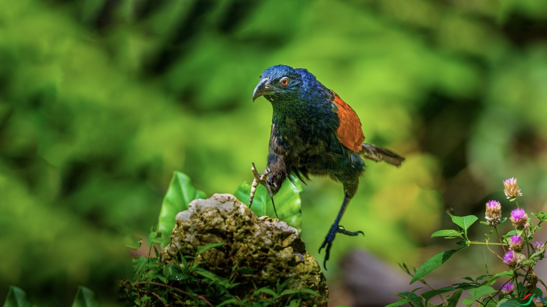 1_XXL3416 ����.jpeg