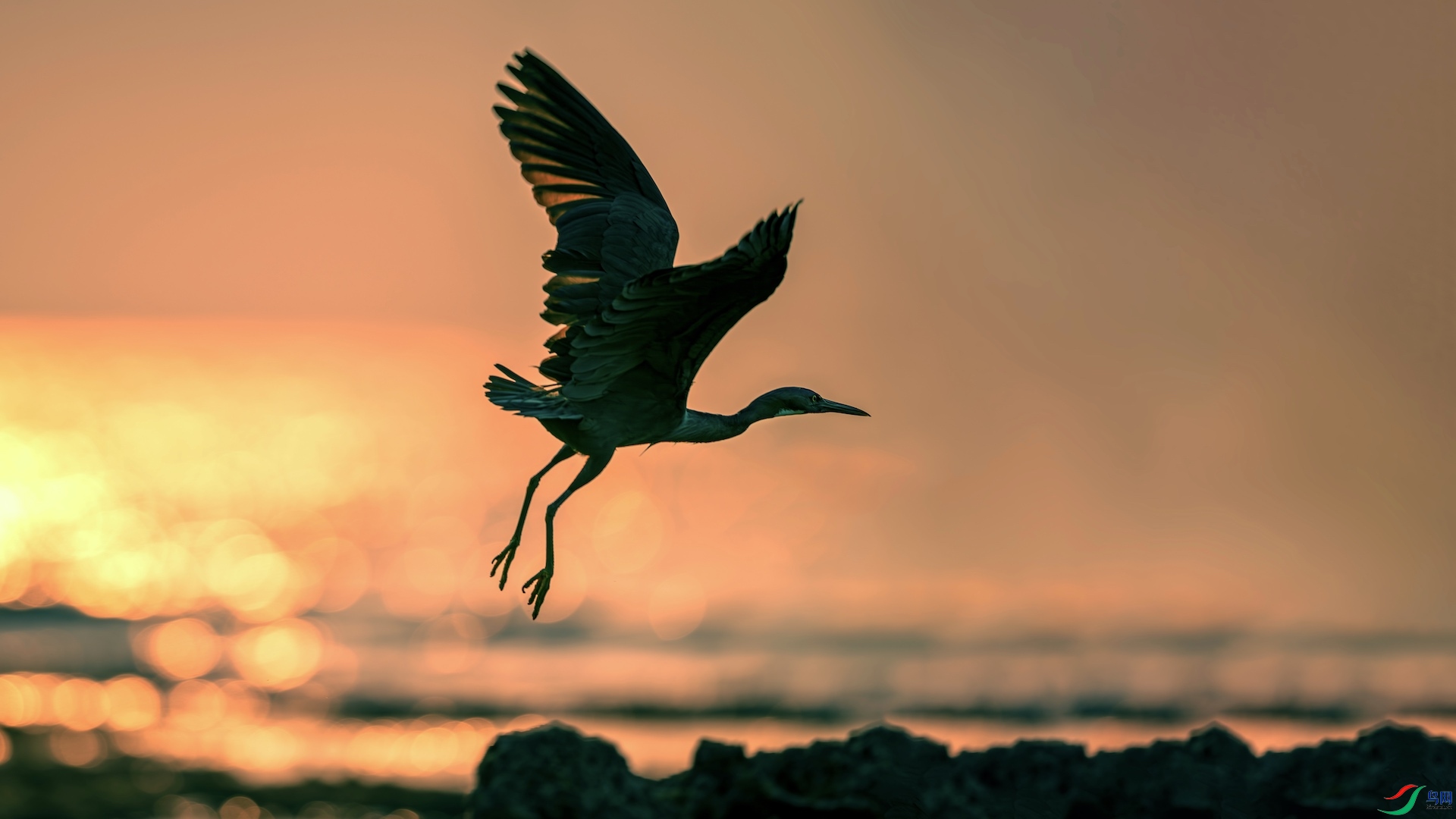 1_XXL8297-����ǿ-NR ����.jpeg