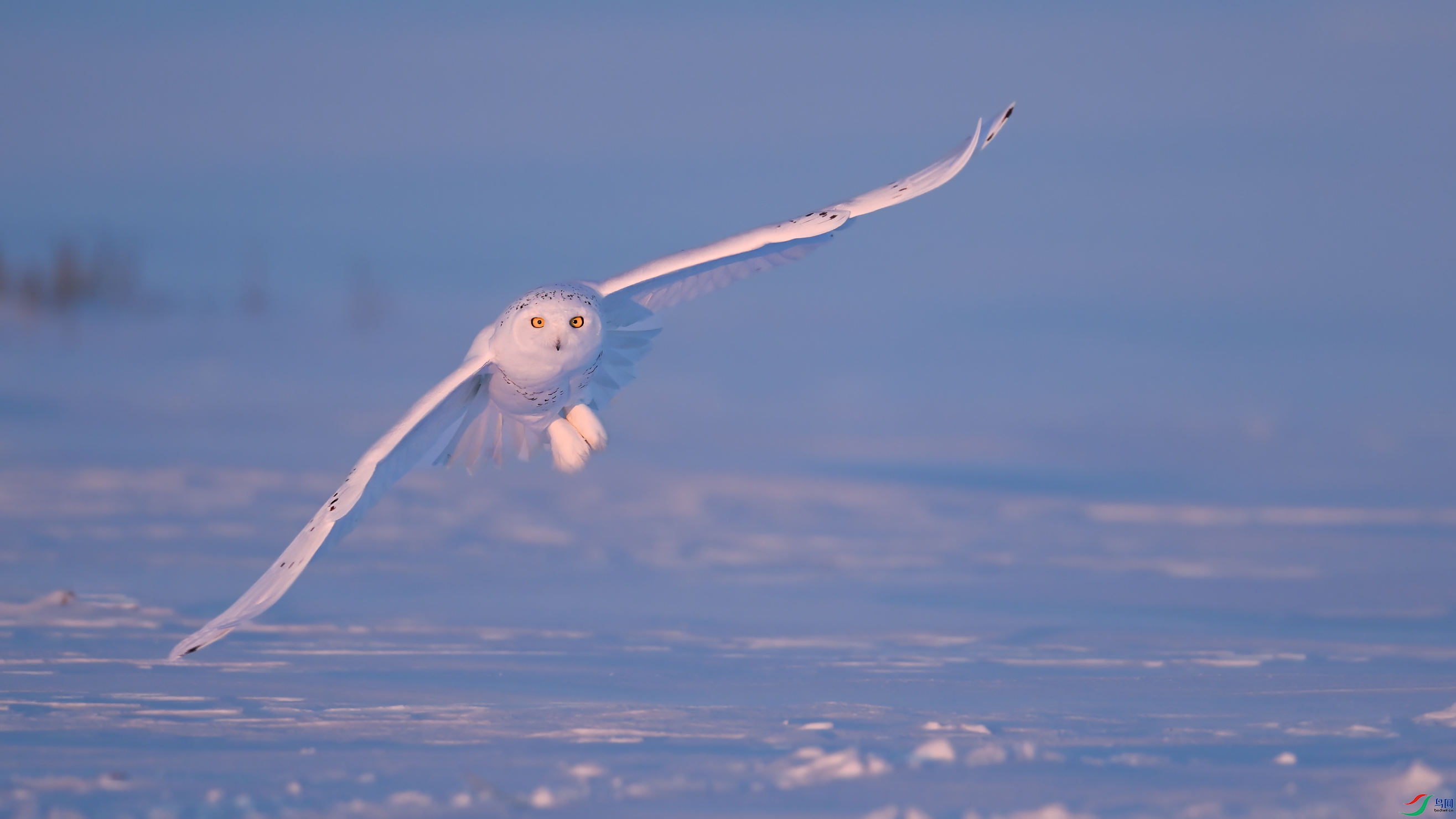 ѩ�^DSC_7110.jpg