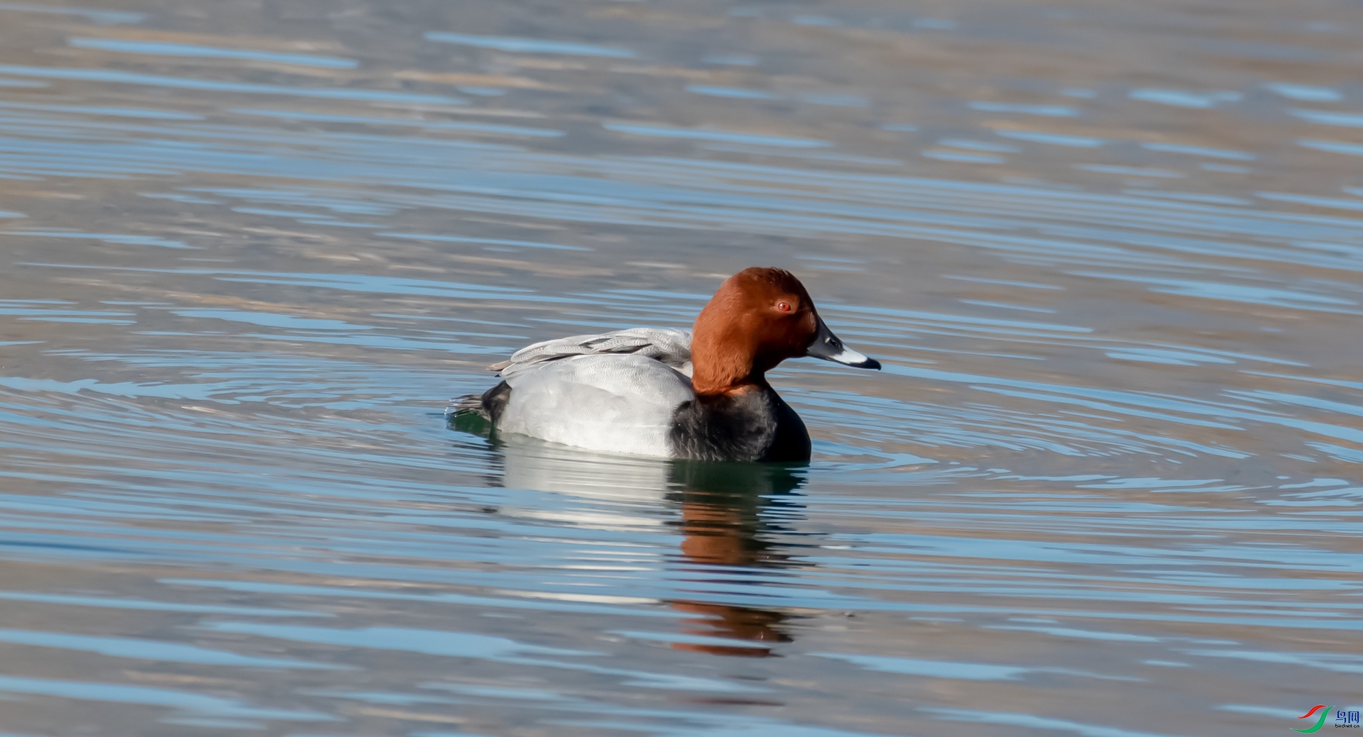 DSC_5770.jpg