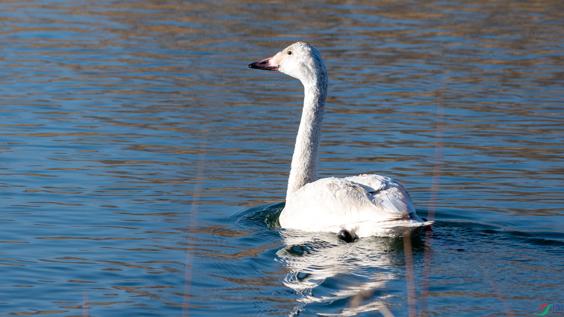 DSC_5685.jpg