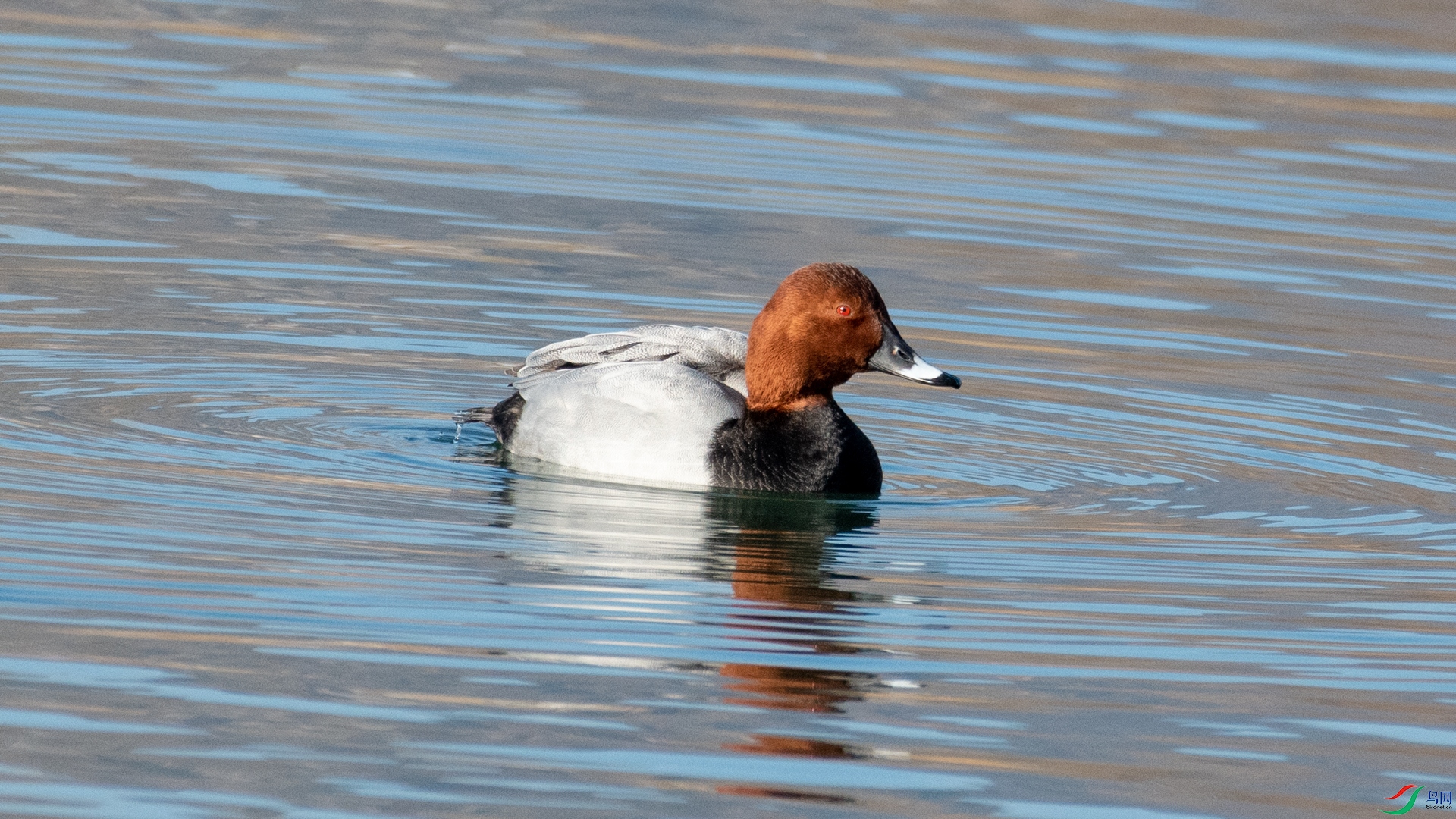 DSC_5771.jpg