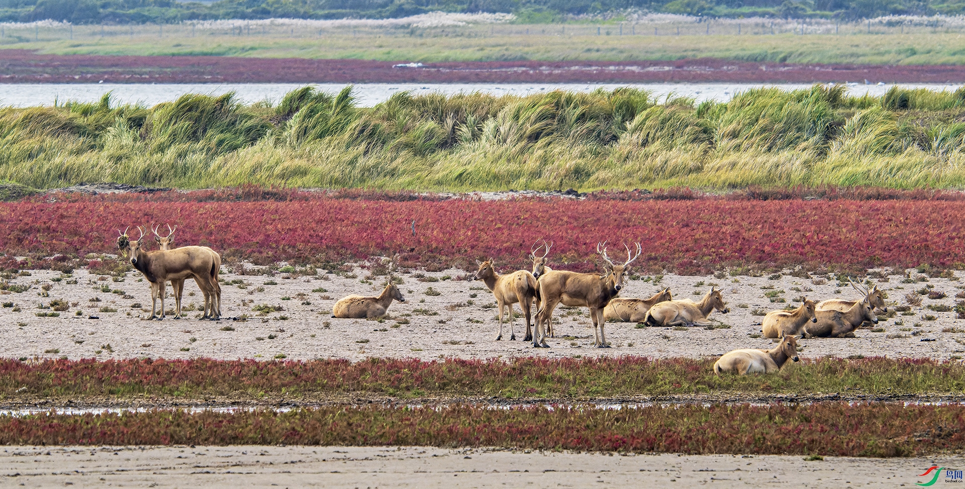 CYG_0470-NEF_DxO_DeepPRIME ����.jpg