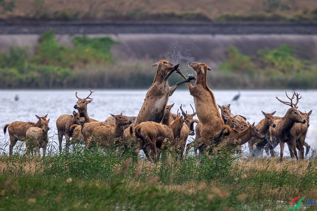 jsycR5241017 (405).jpg