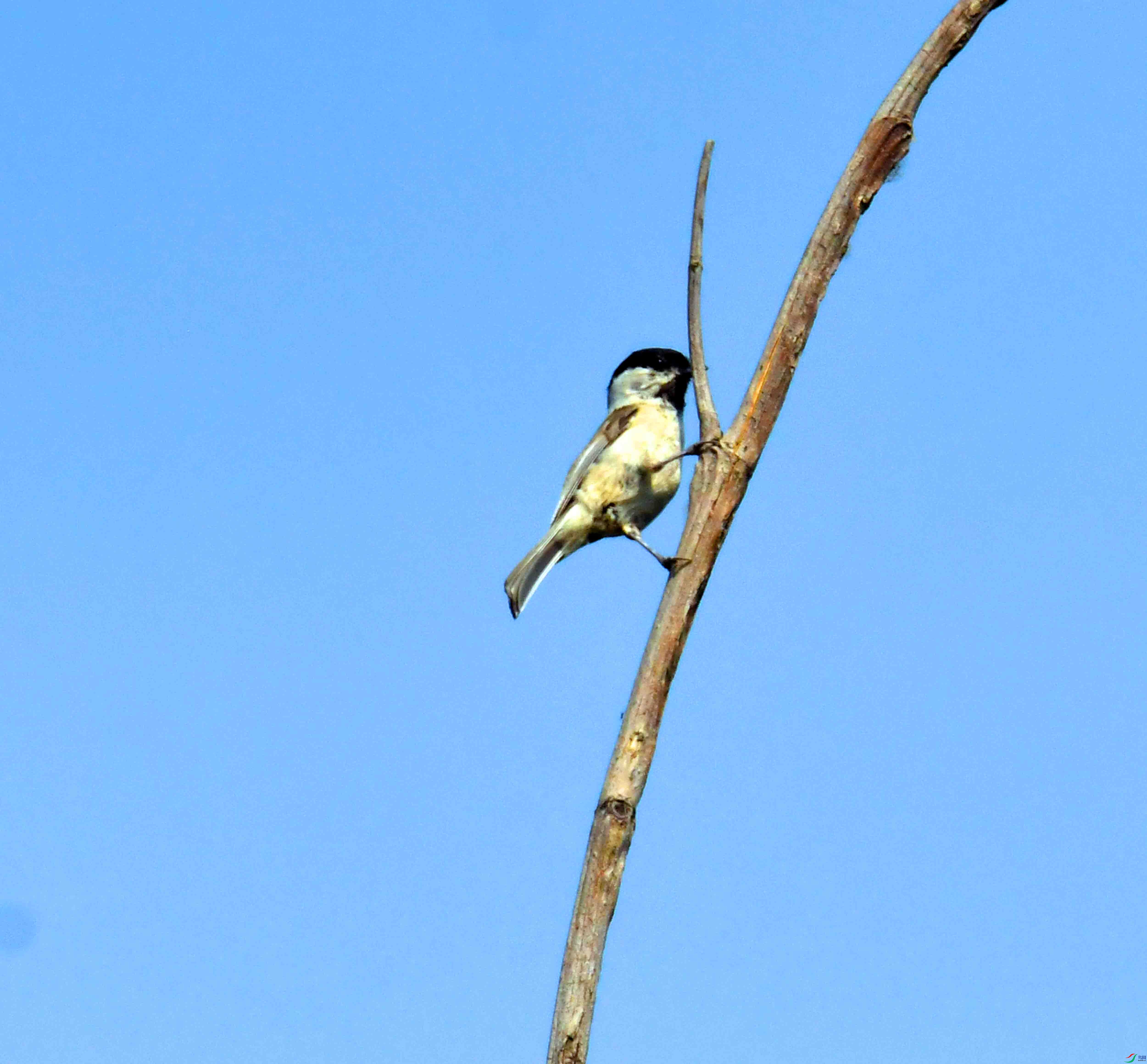 DSC_2128.JPG