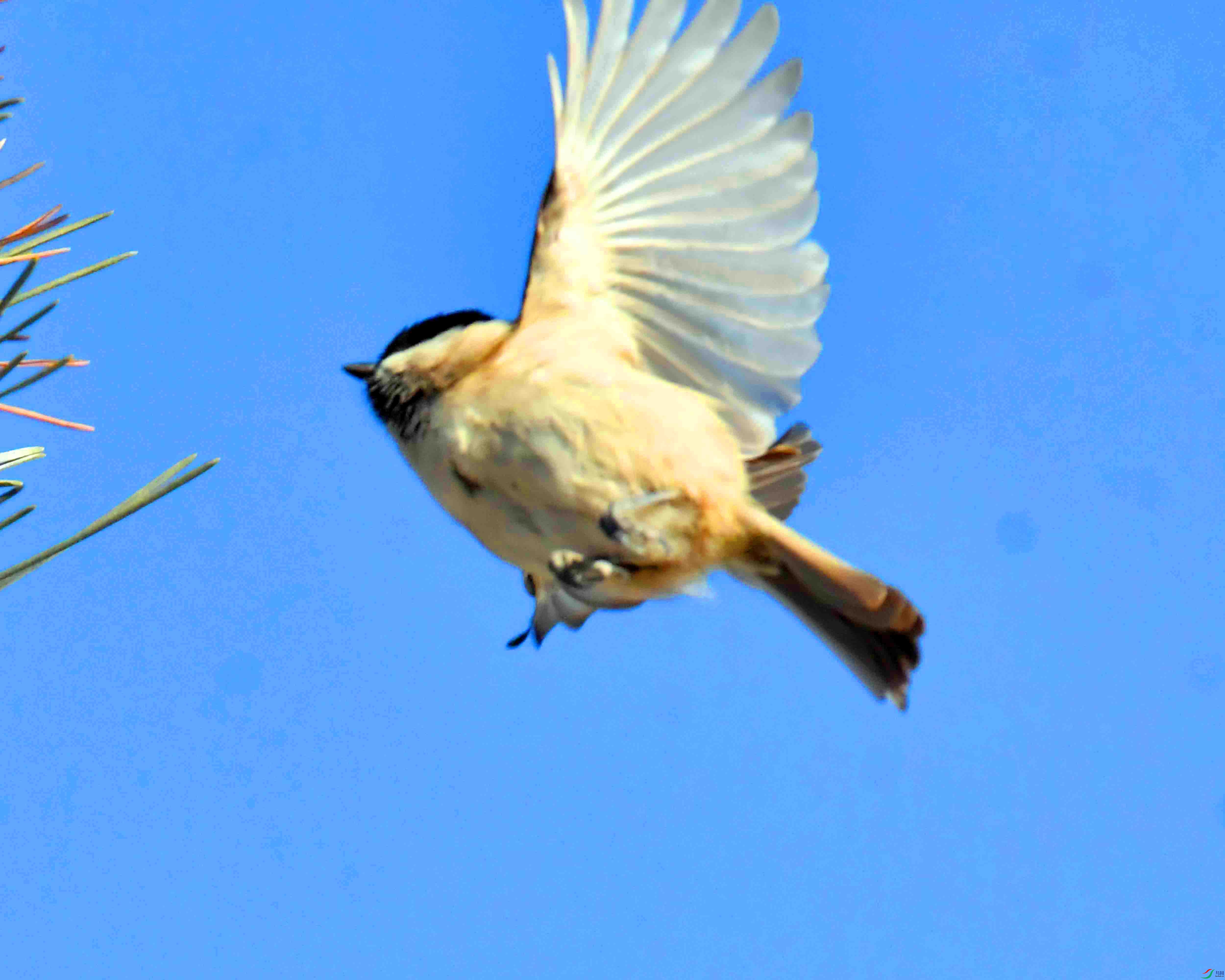 DSC_2263.JPG