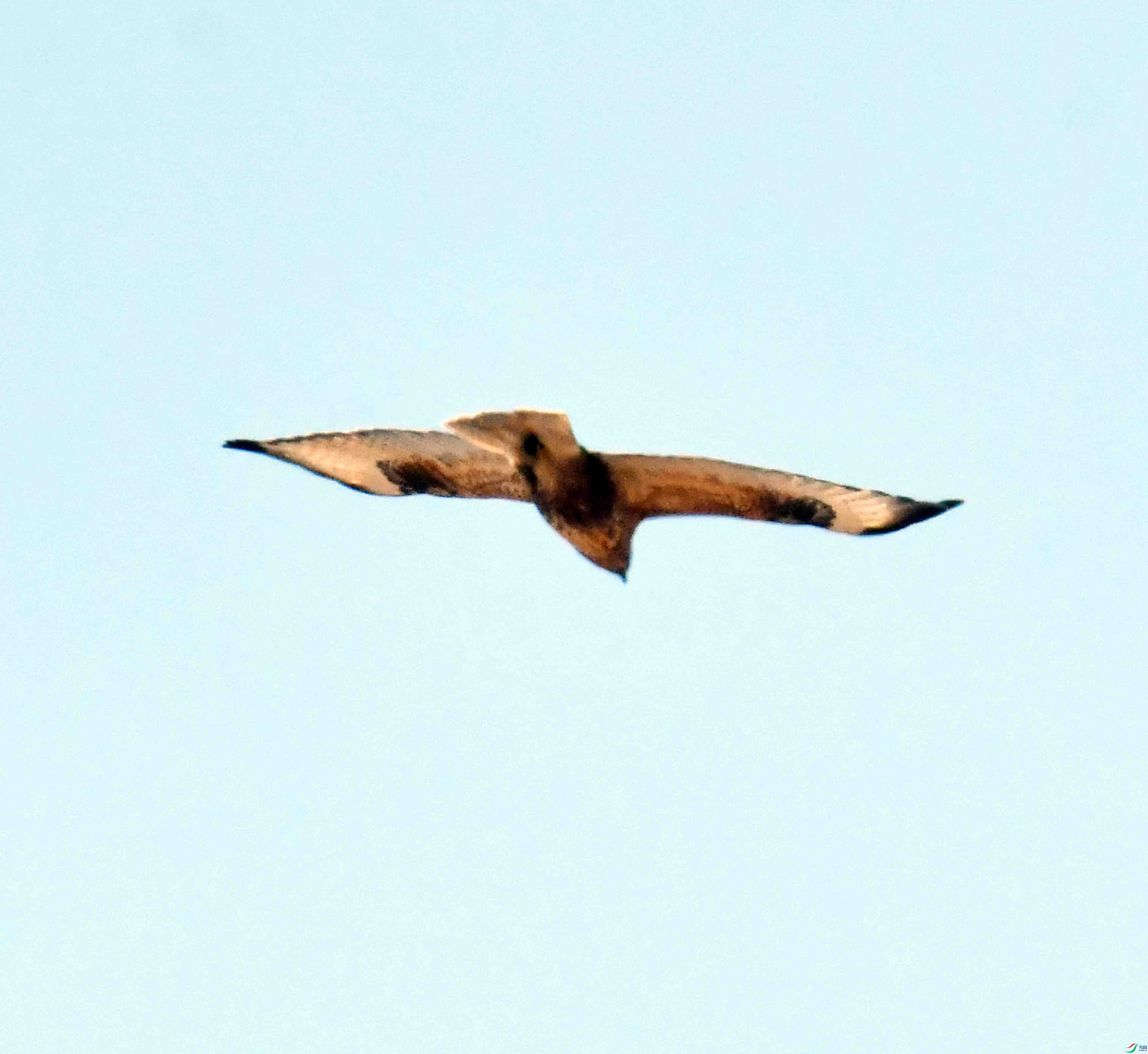 DSC_1290.JPG