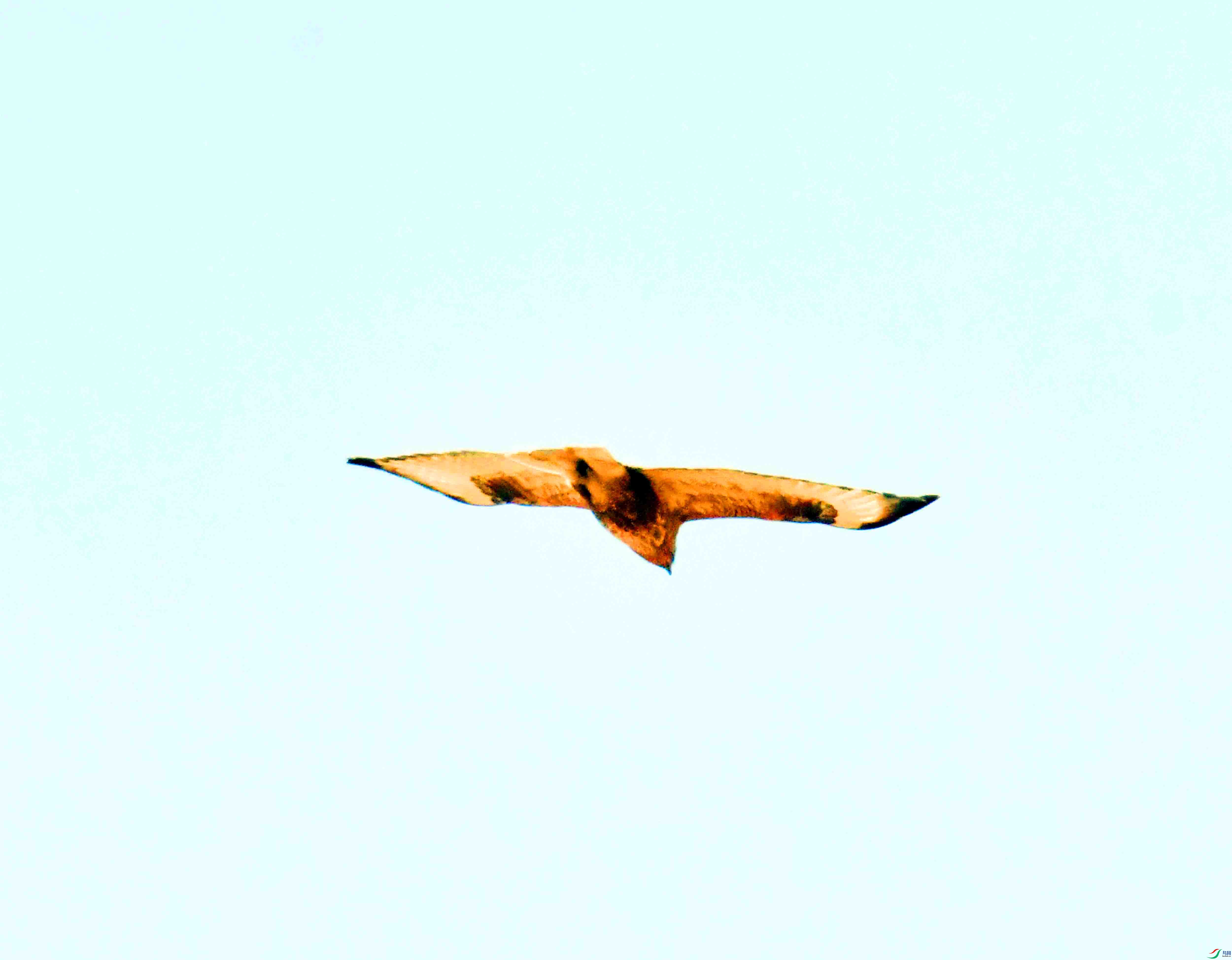 DSC_1291.JPG