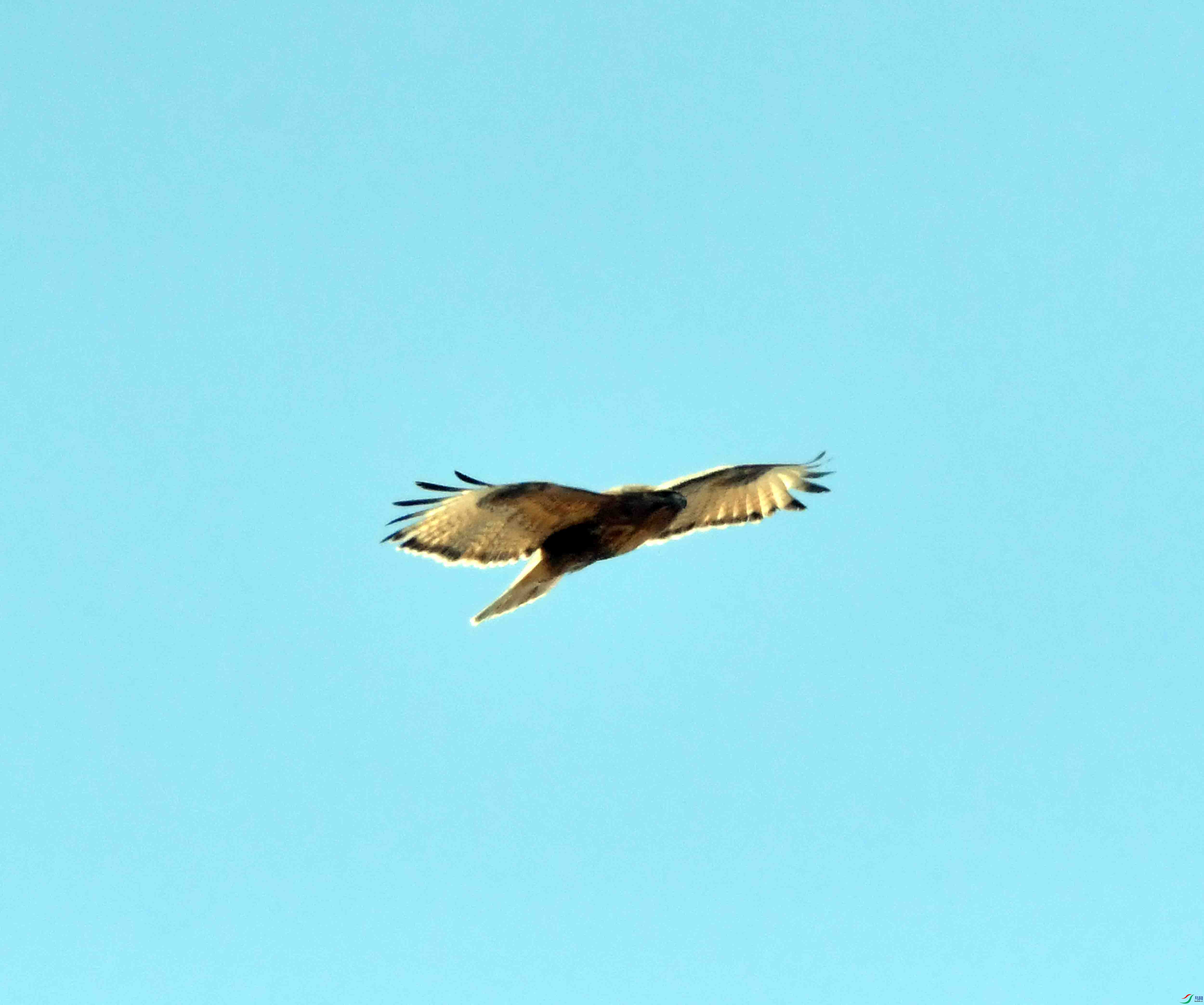 DSC_1293.JPG