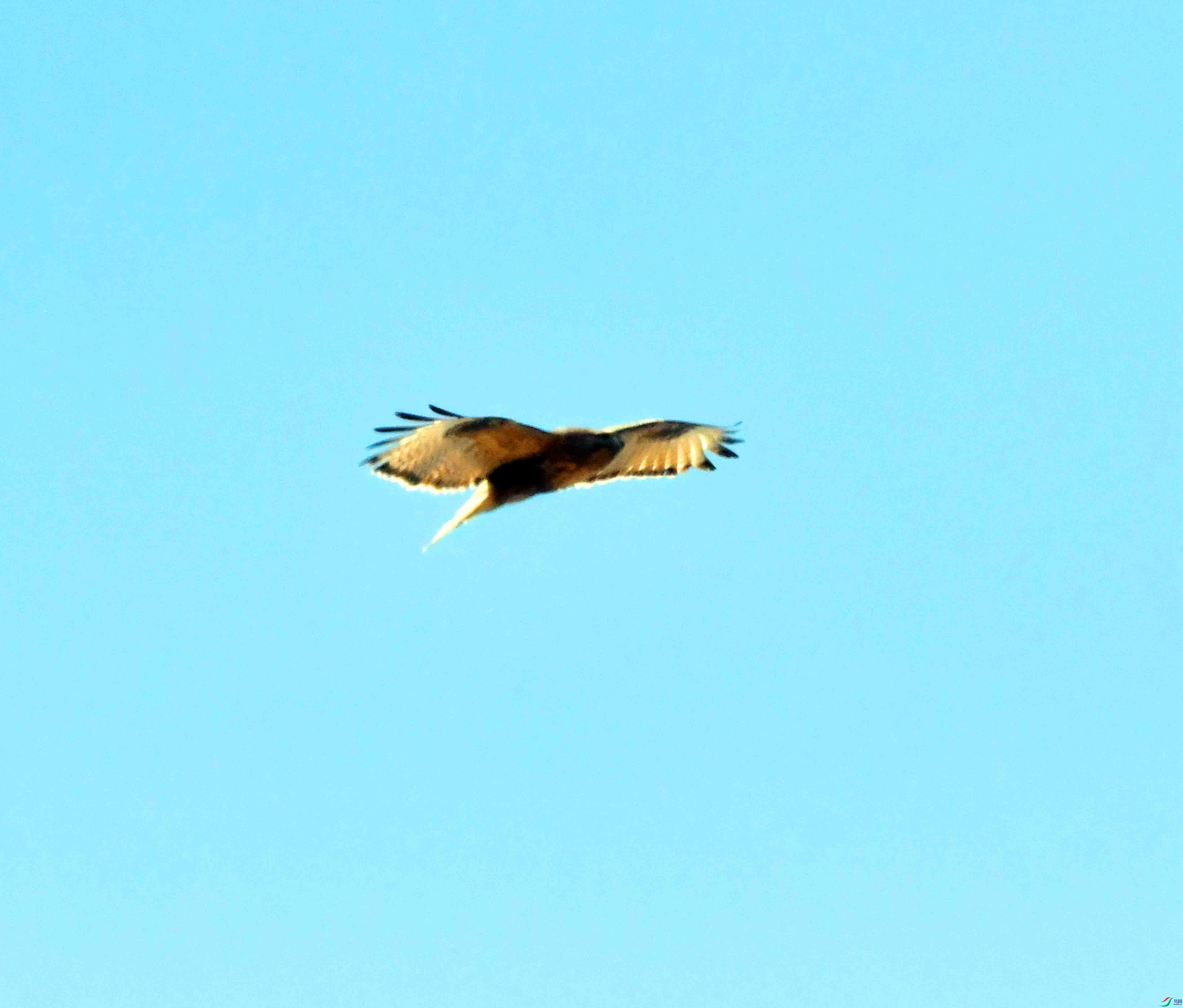 DSC_1292.JPG