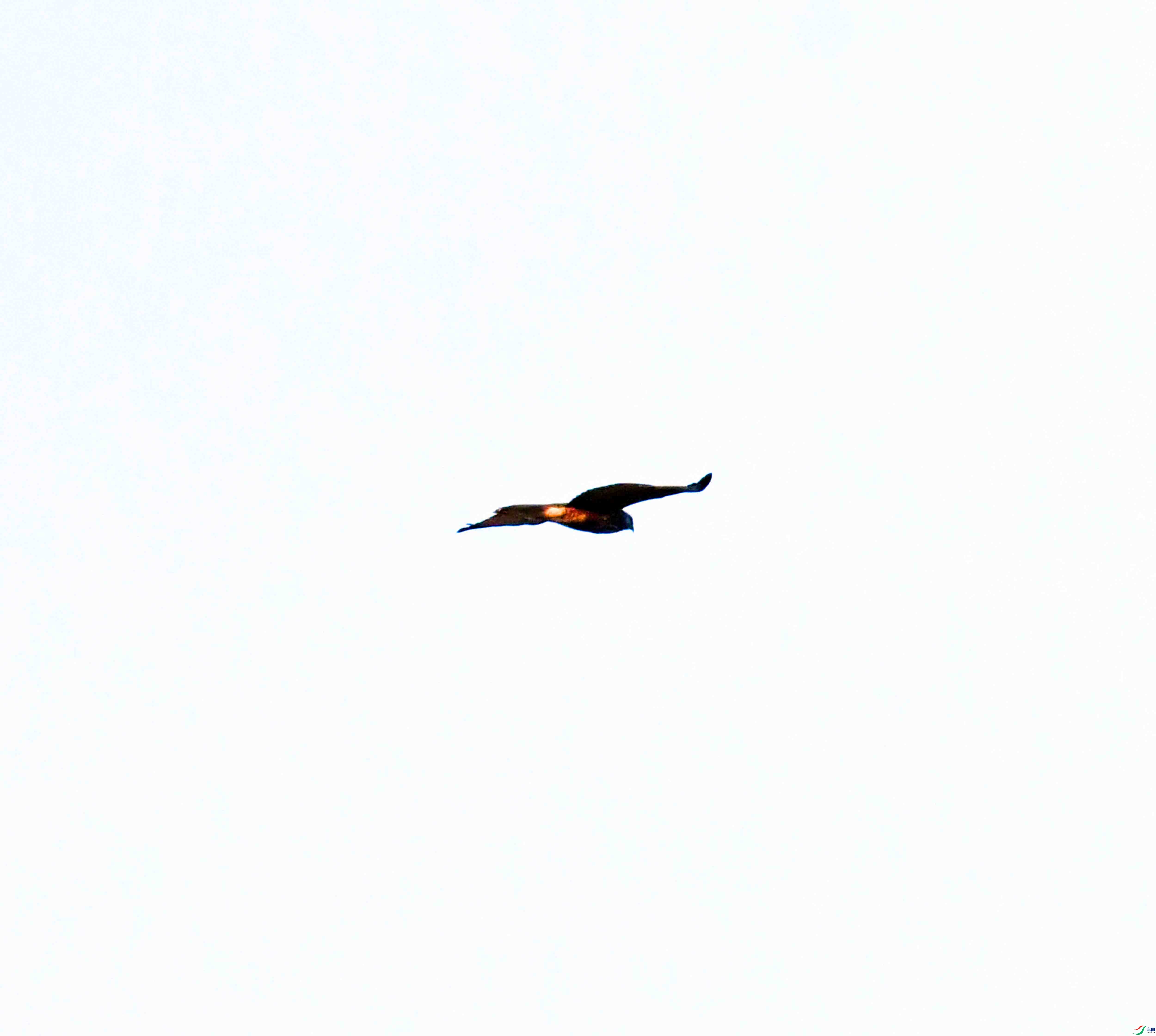 DSC_5352.JPG