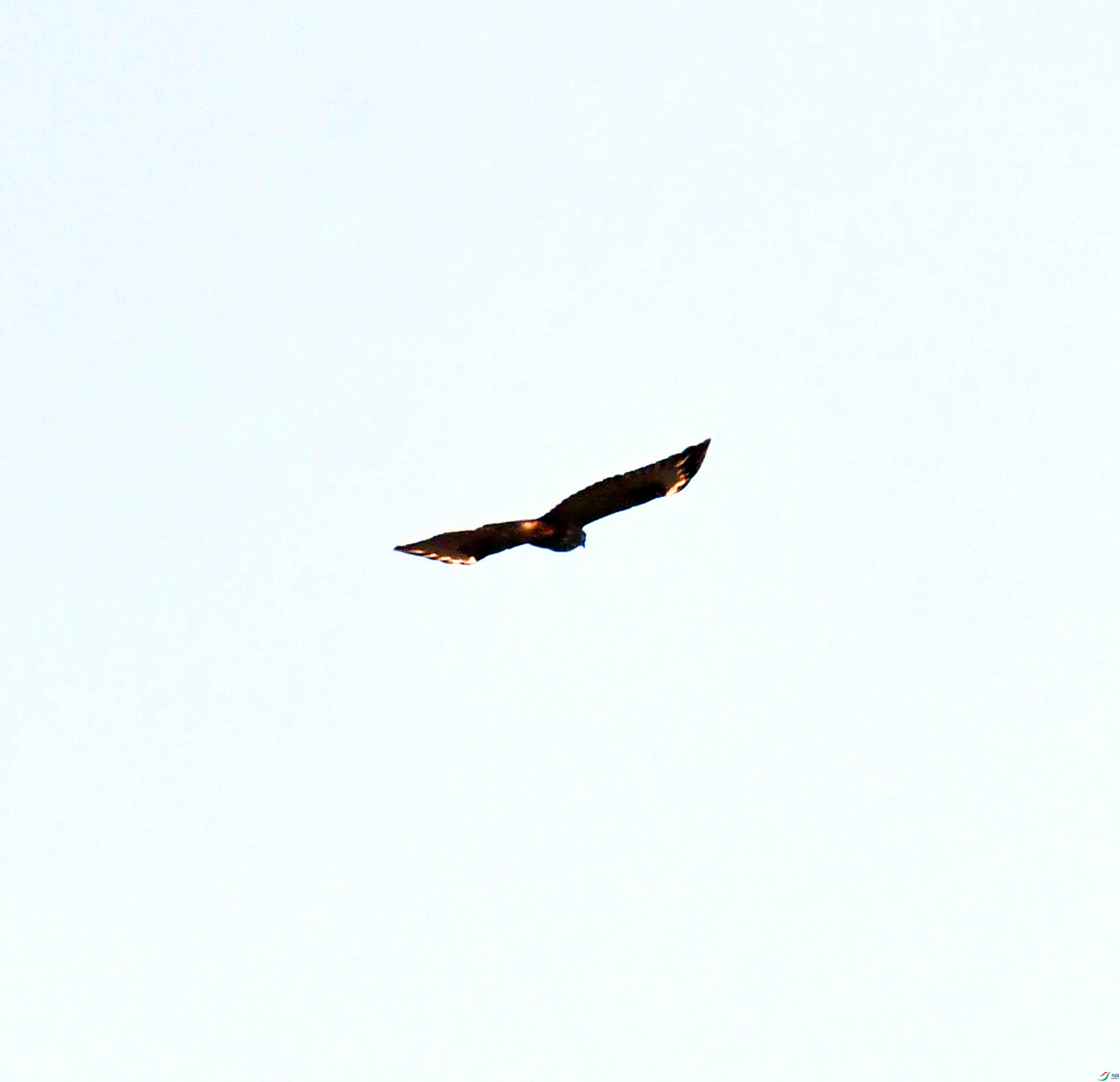 DSC_5359.JPG