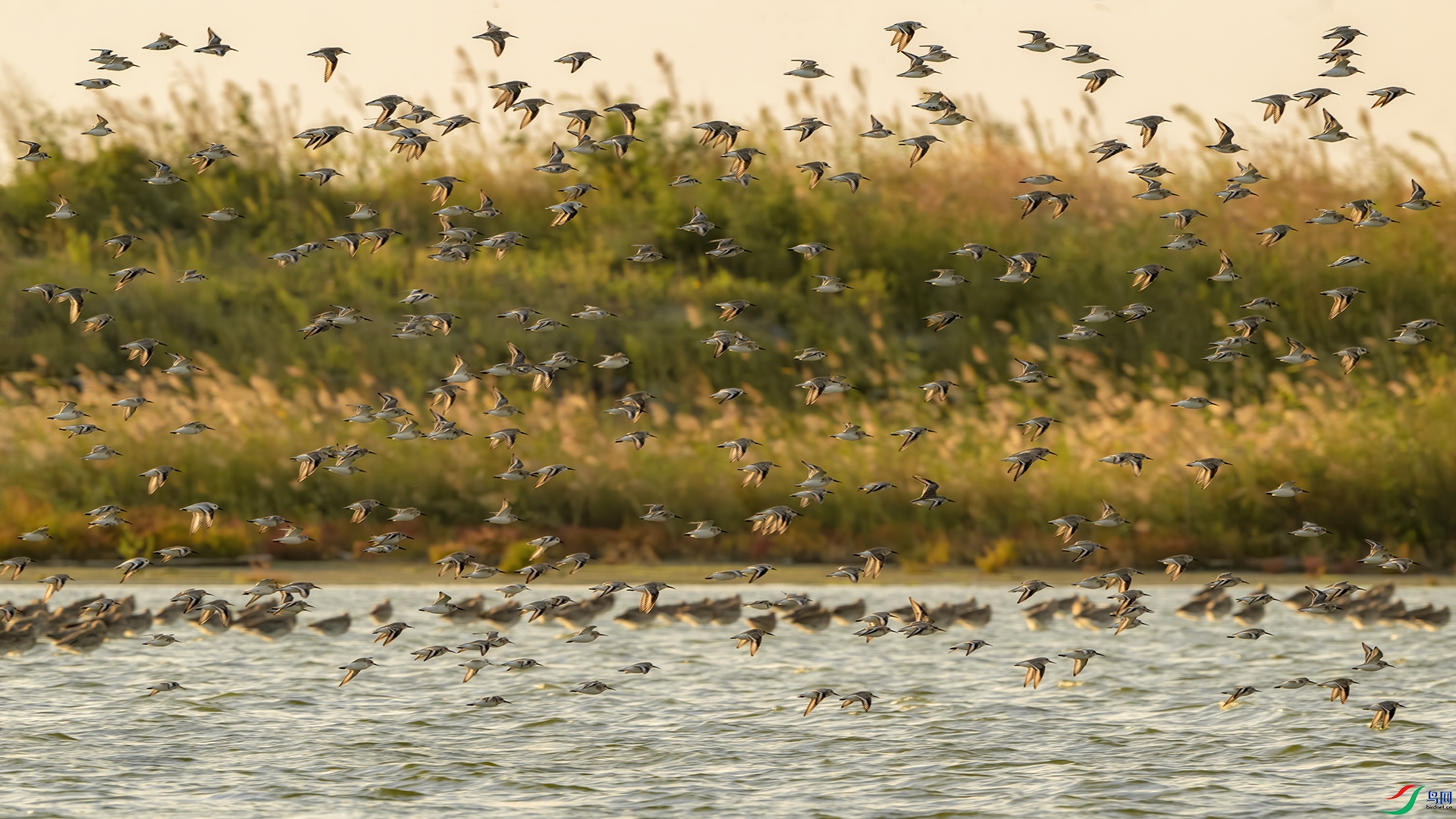 _DSC7174-����ǿ-NR ����С.jpg