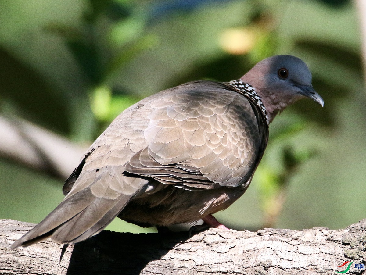 A3840�龱���-24.JPG