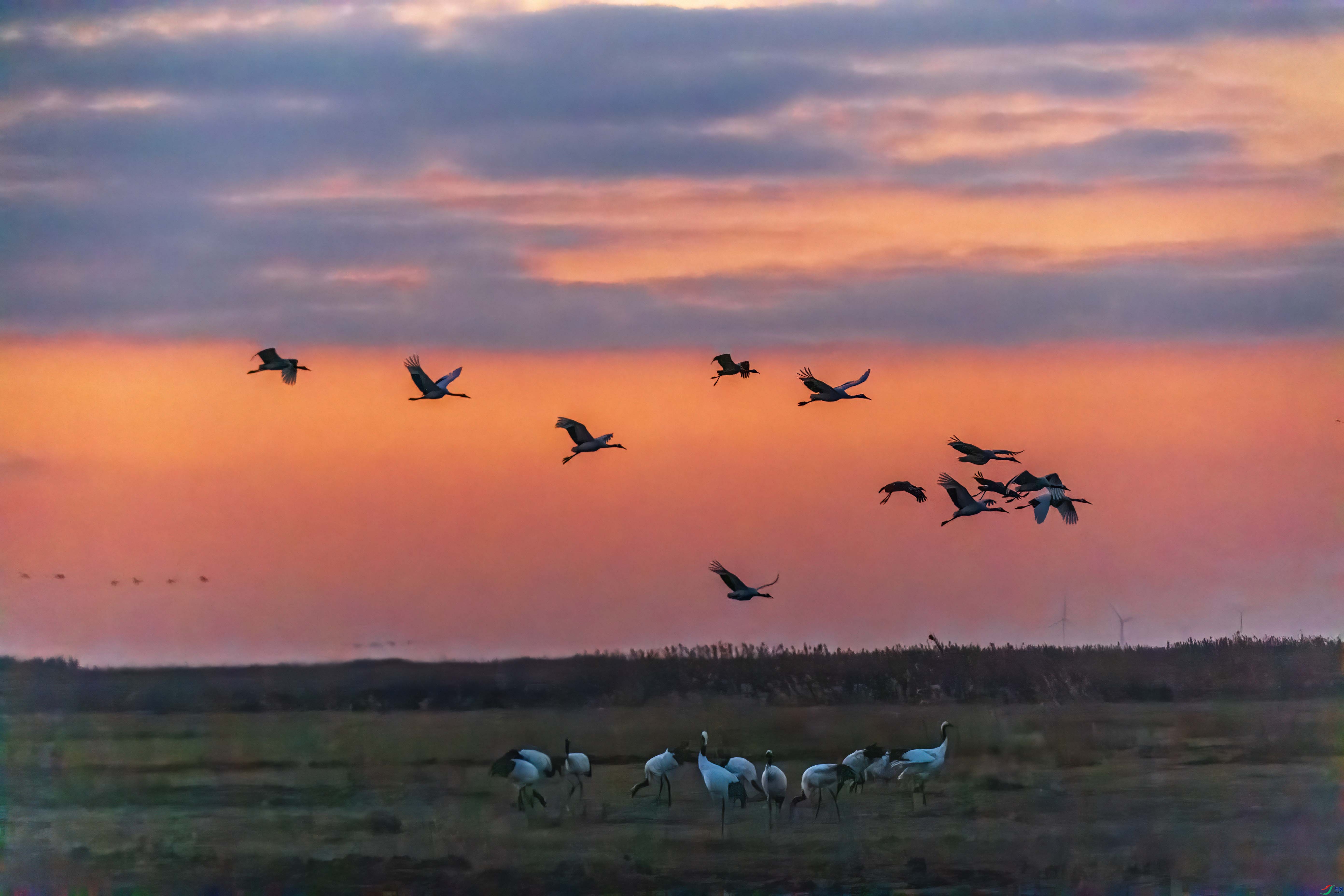 DSC_2456 ����.jpg