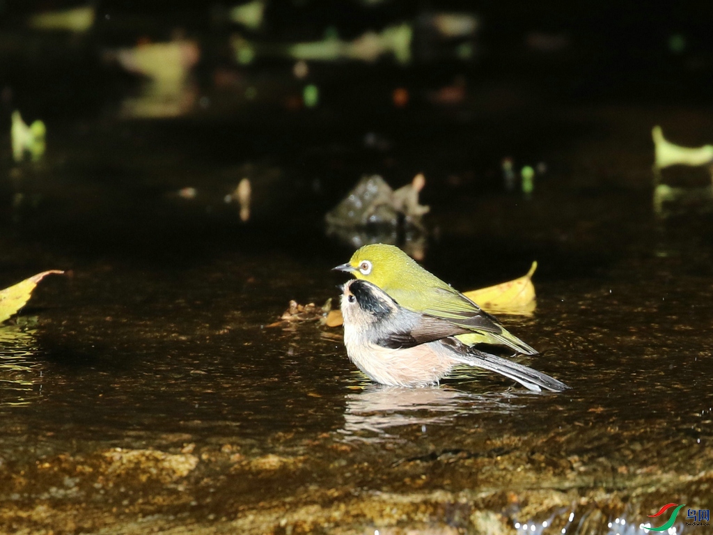 DSC20241026240.jpg