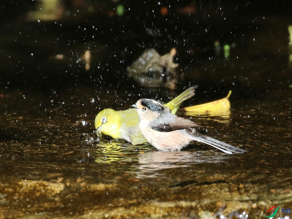 DSC20241026245.jpg