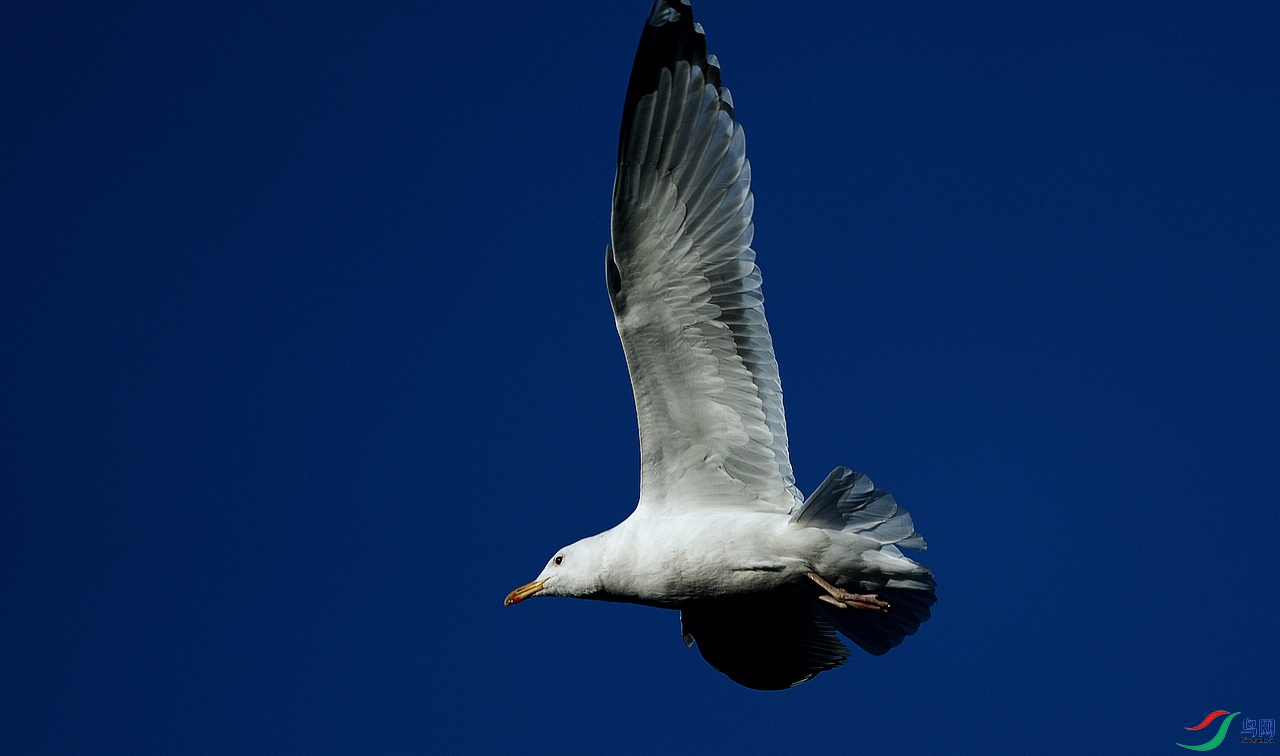 DSC04310.JPG