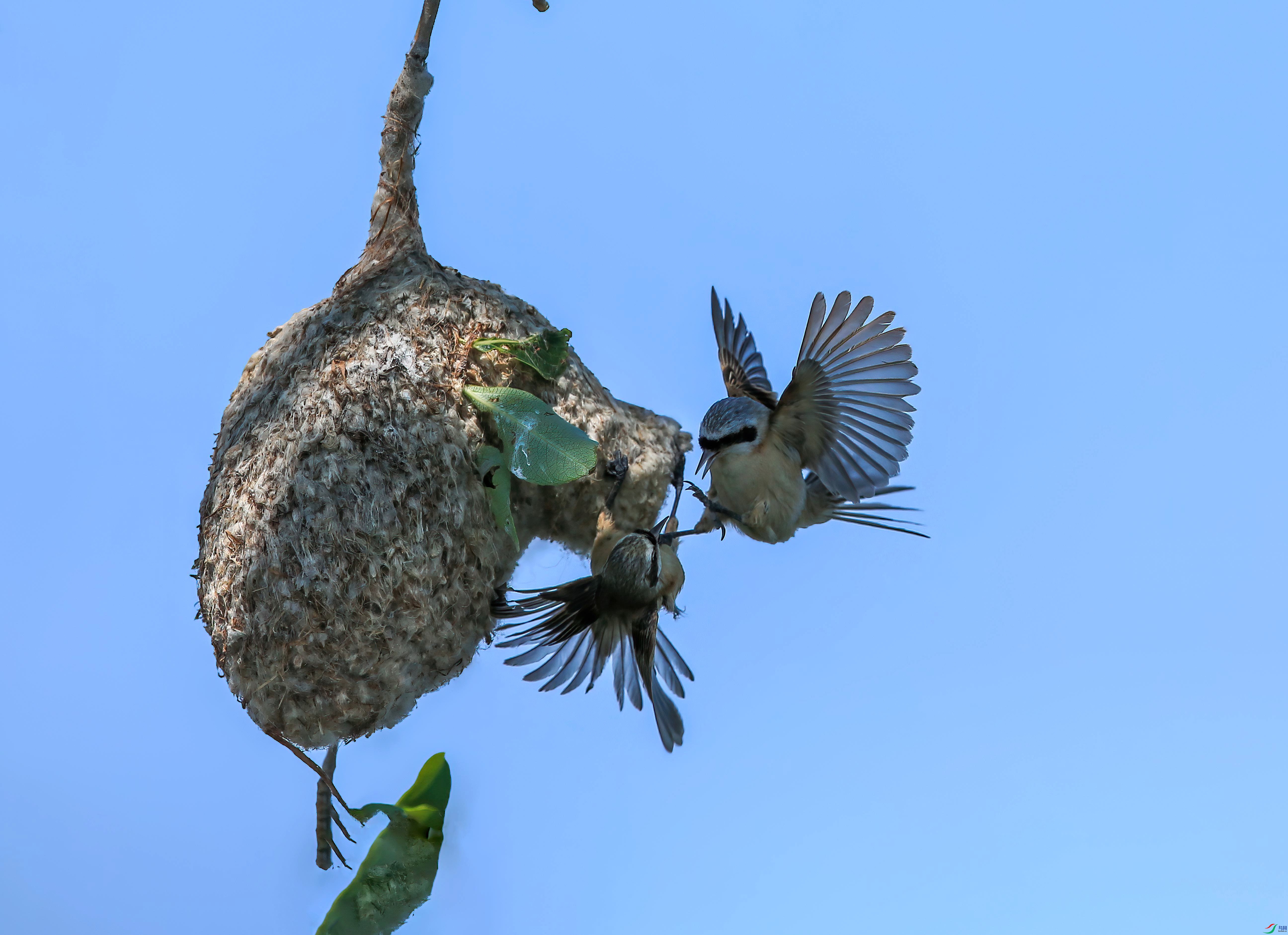 AE6Y3922 ����_���� ����_����.jpg