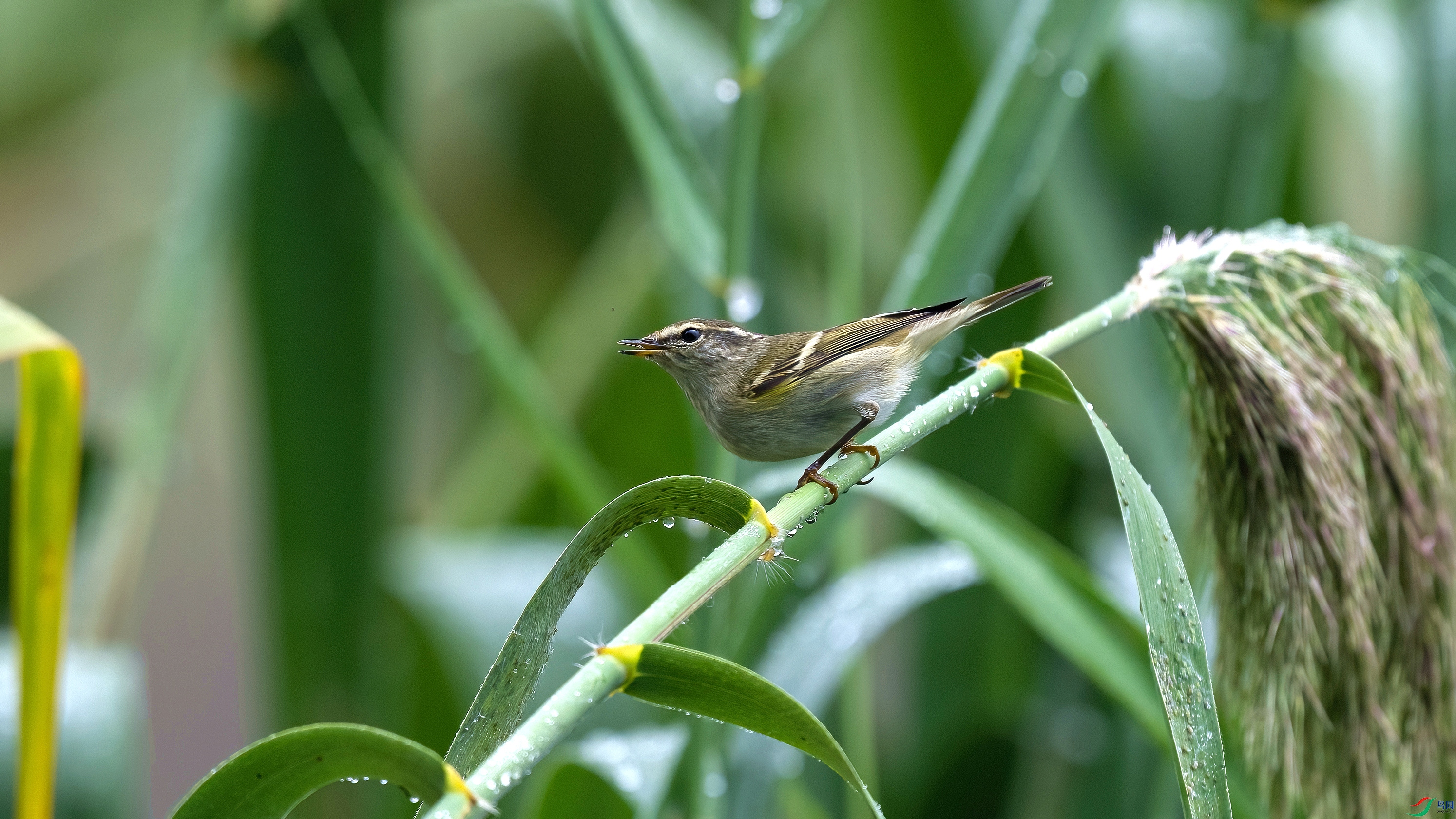 DSC_1318.jpg
