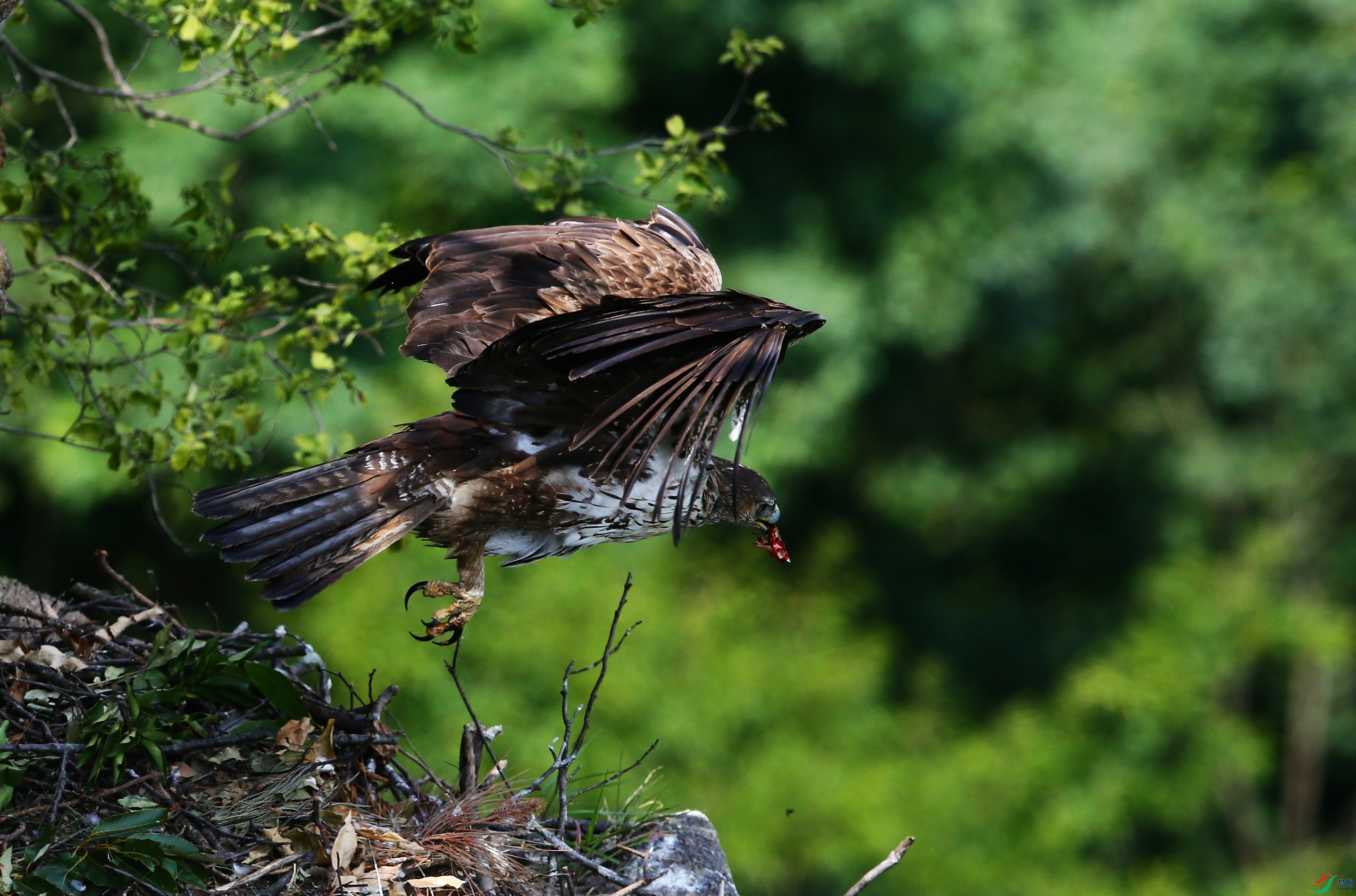 �׸����� (68).JPG