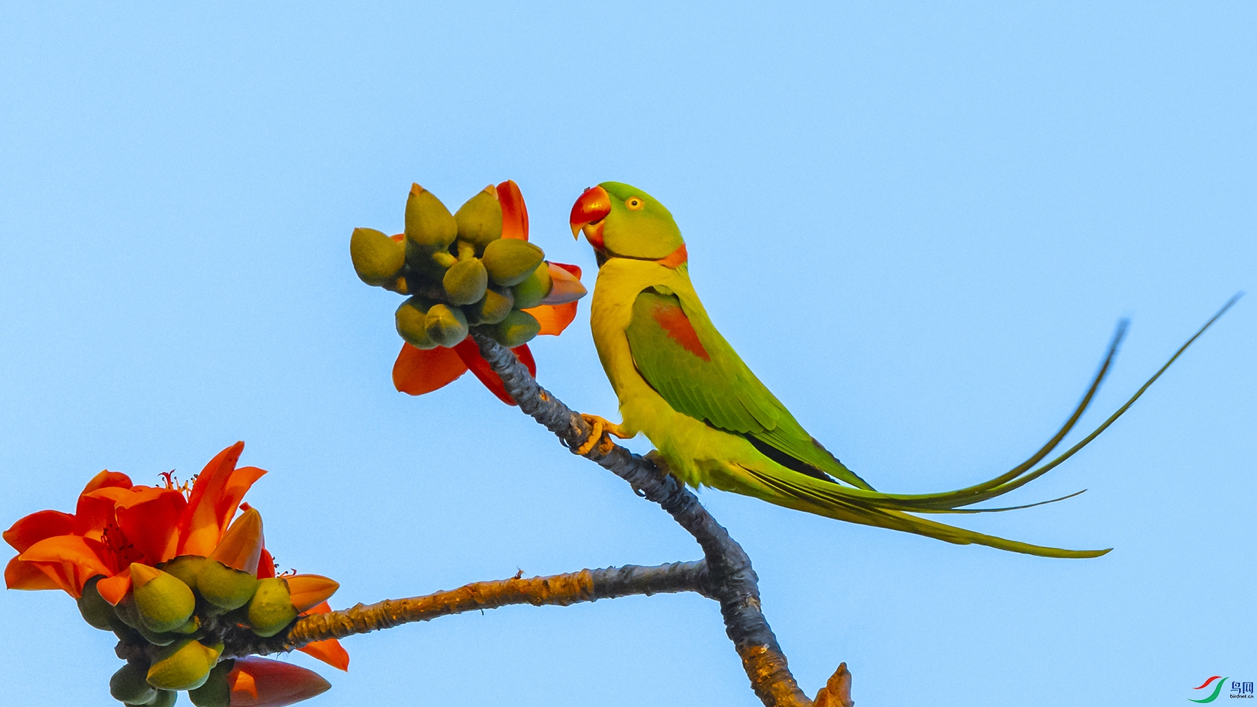 7813 ���� 2.jpg