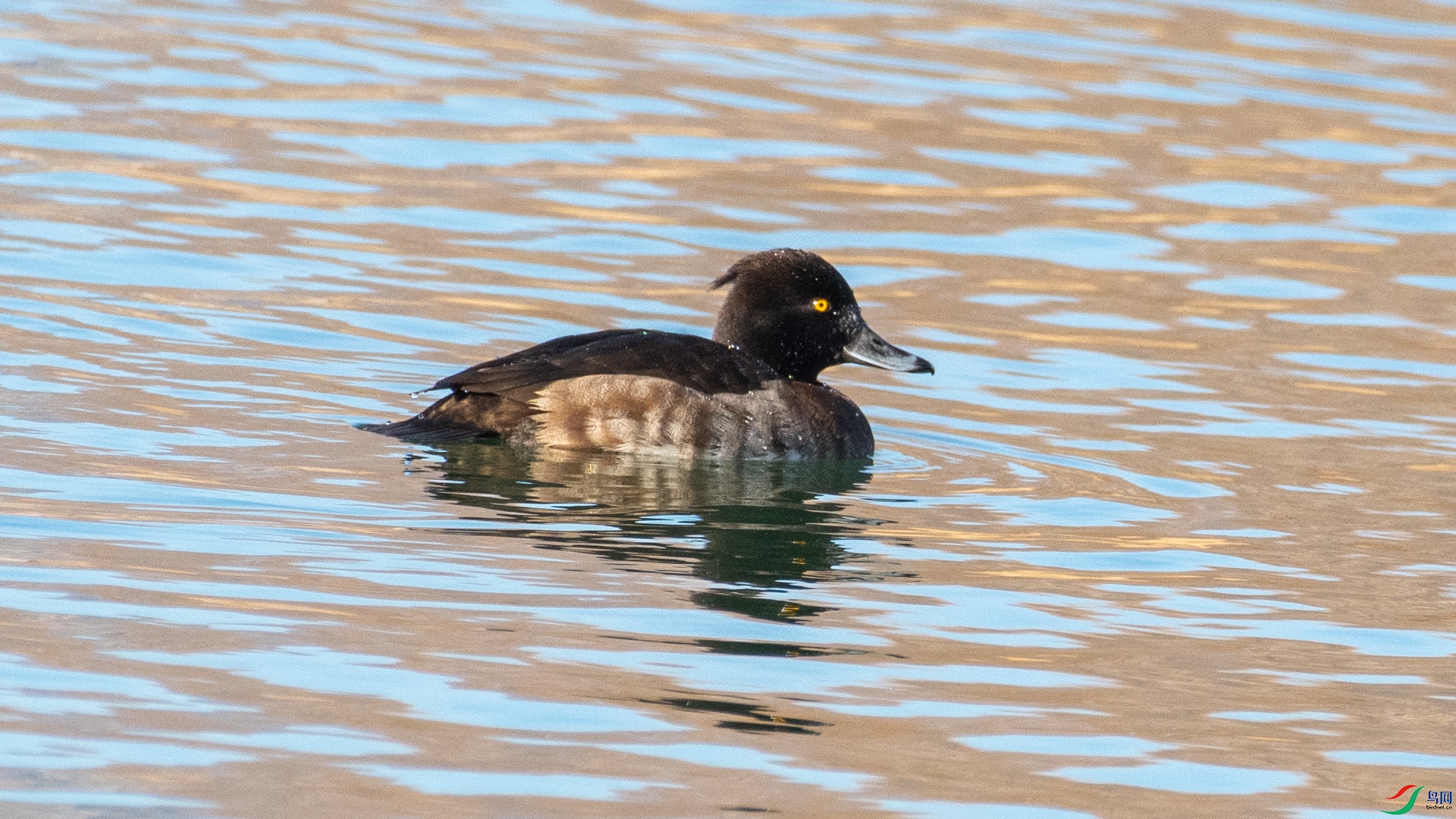 DSC_5809.jpg