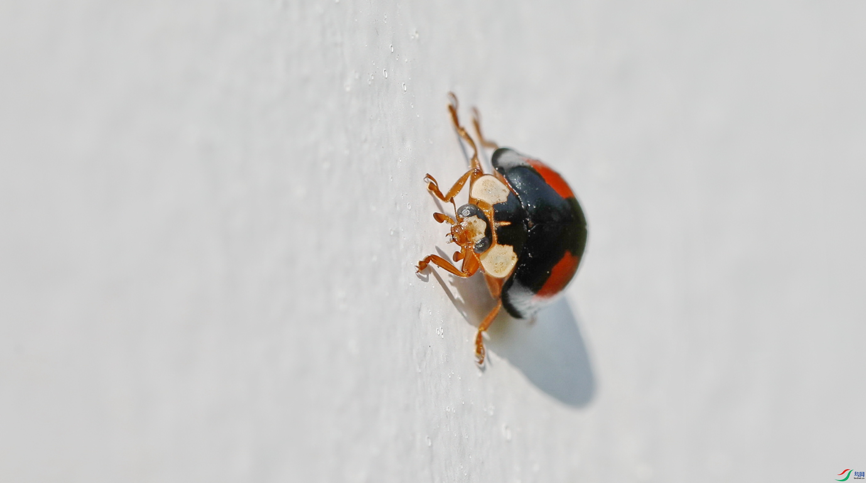 0G0A1270����.JPG