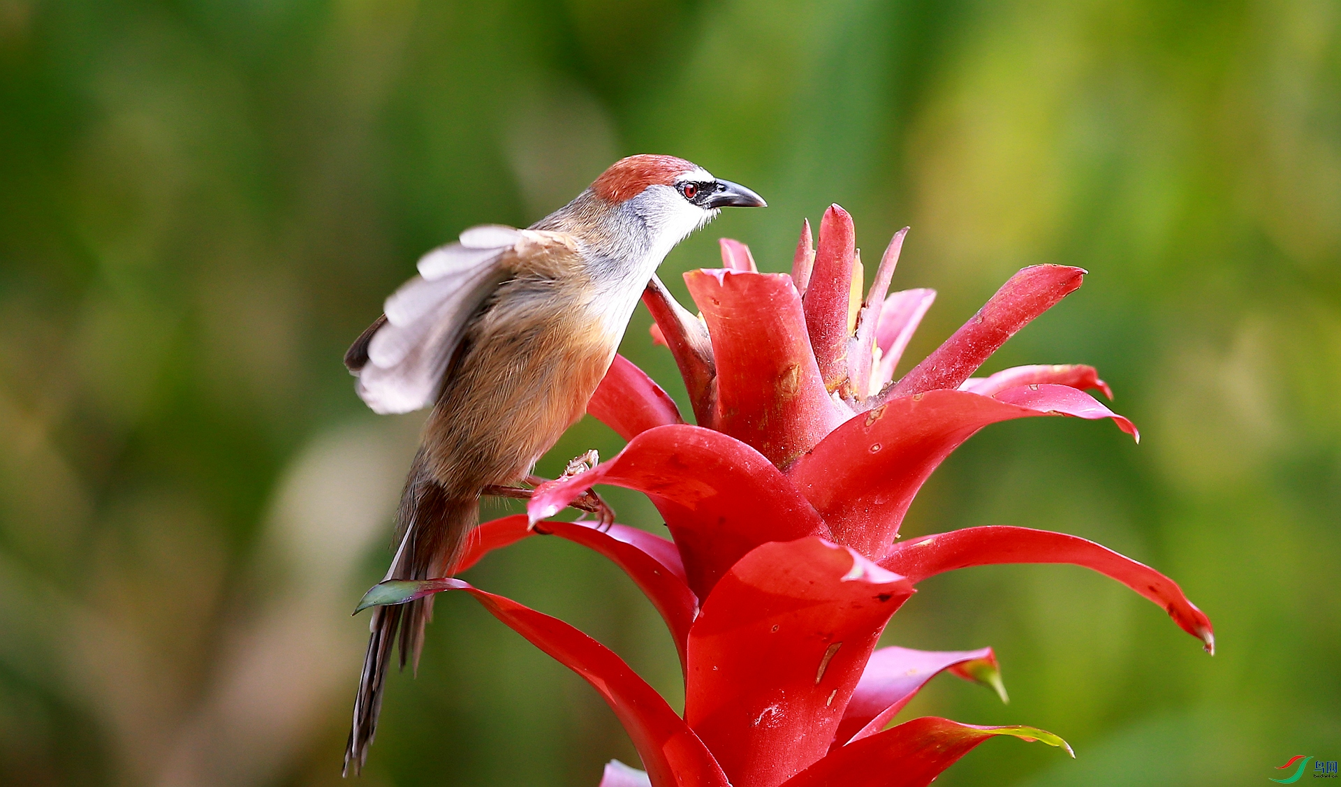 AY8Q2841_����.jpg