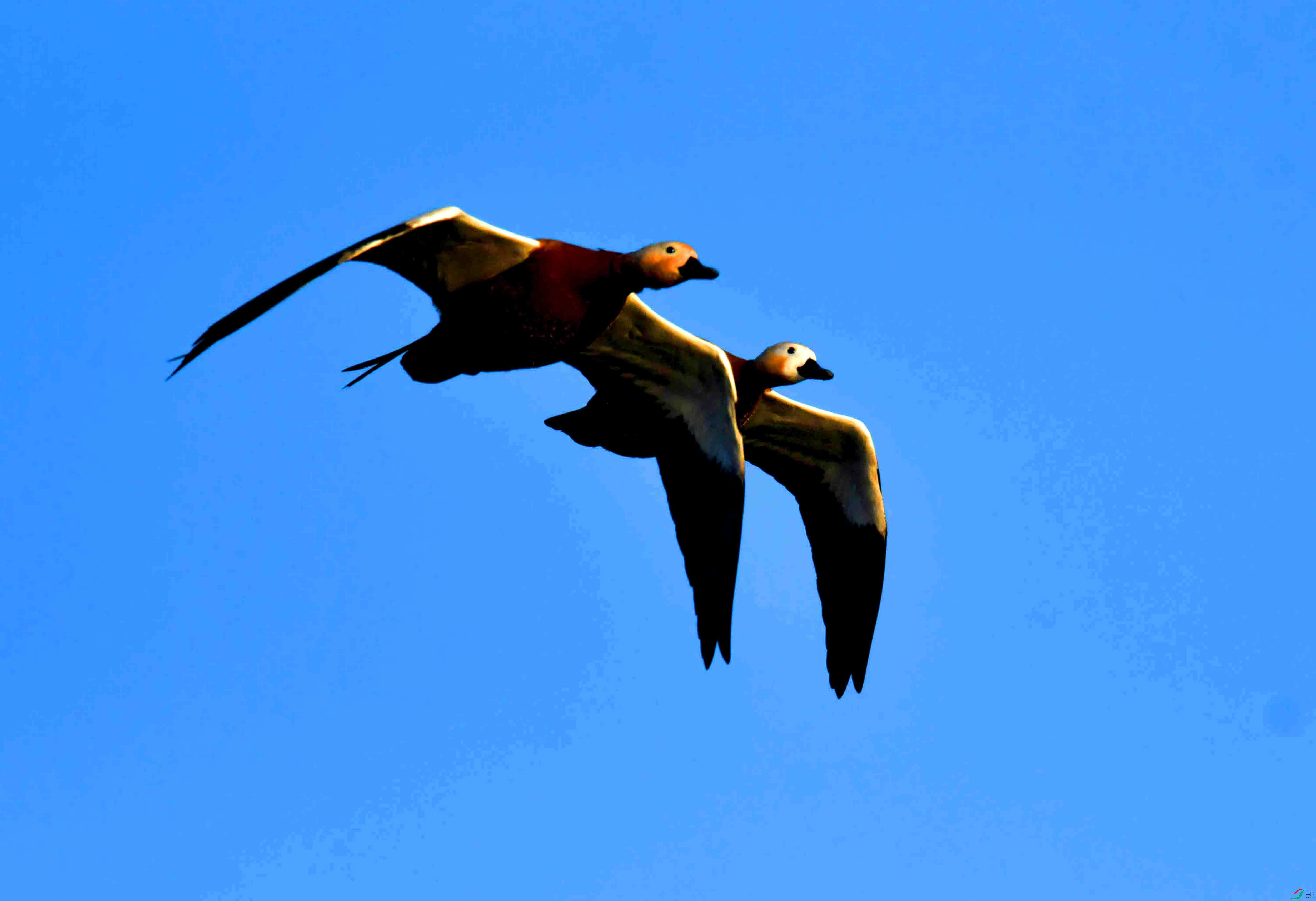 DSC_8361.JPG