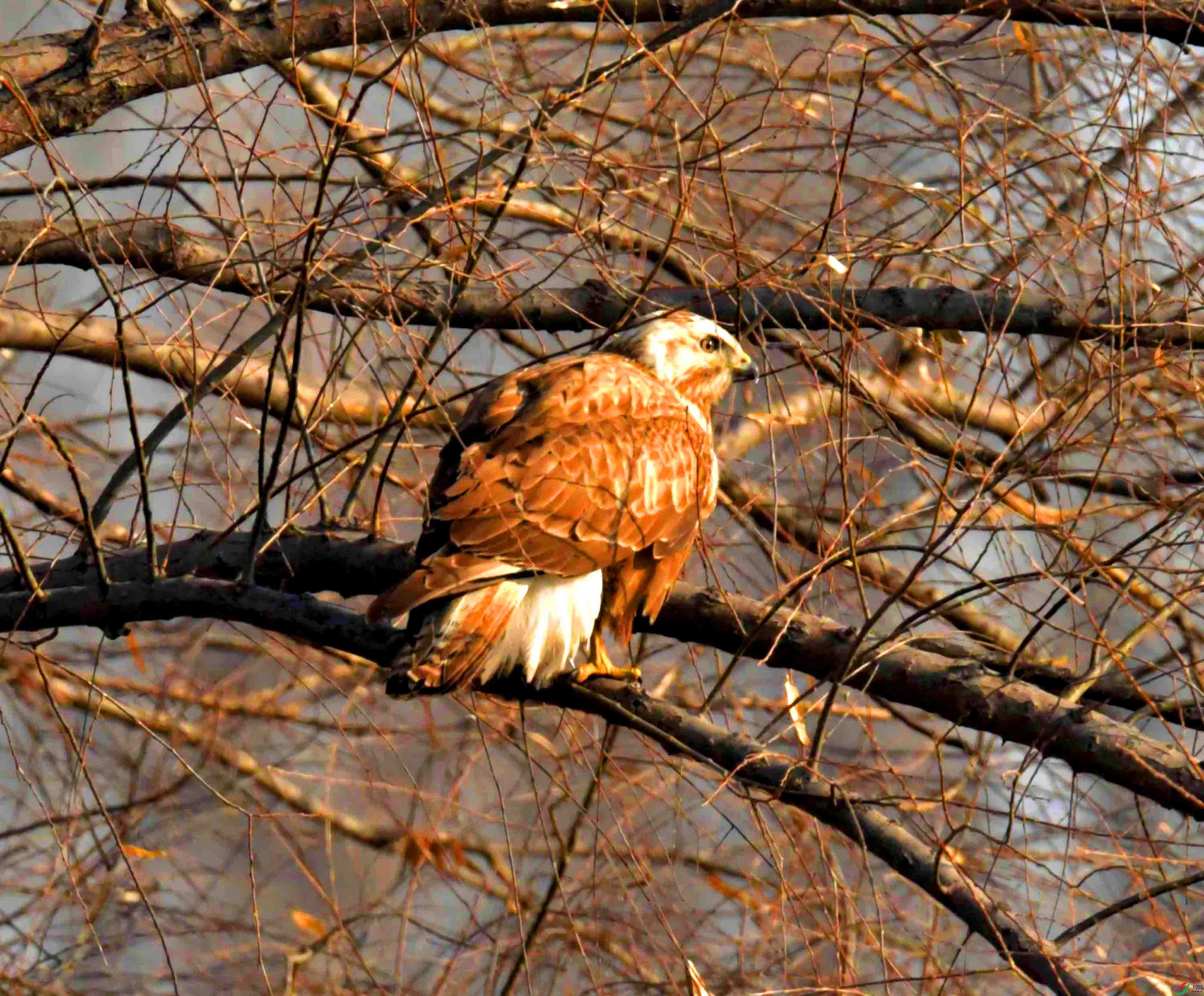 DSC_3276.JPG