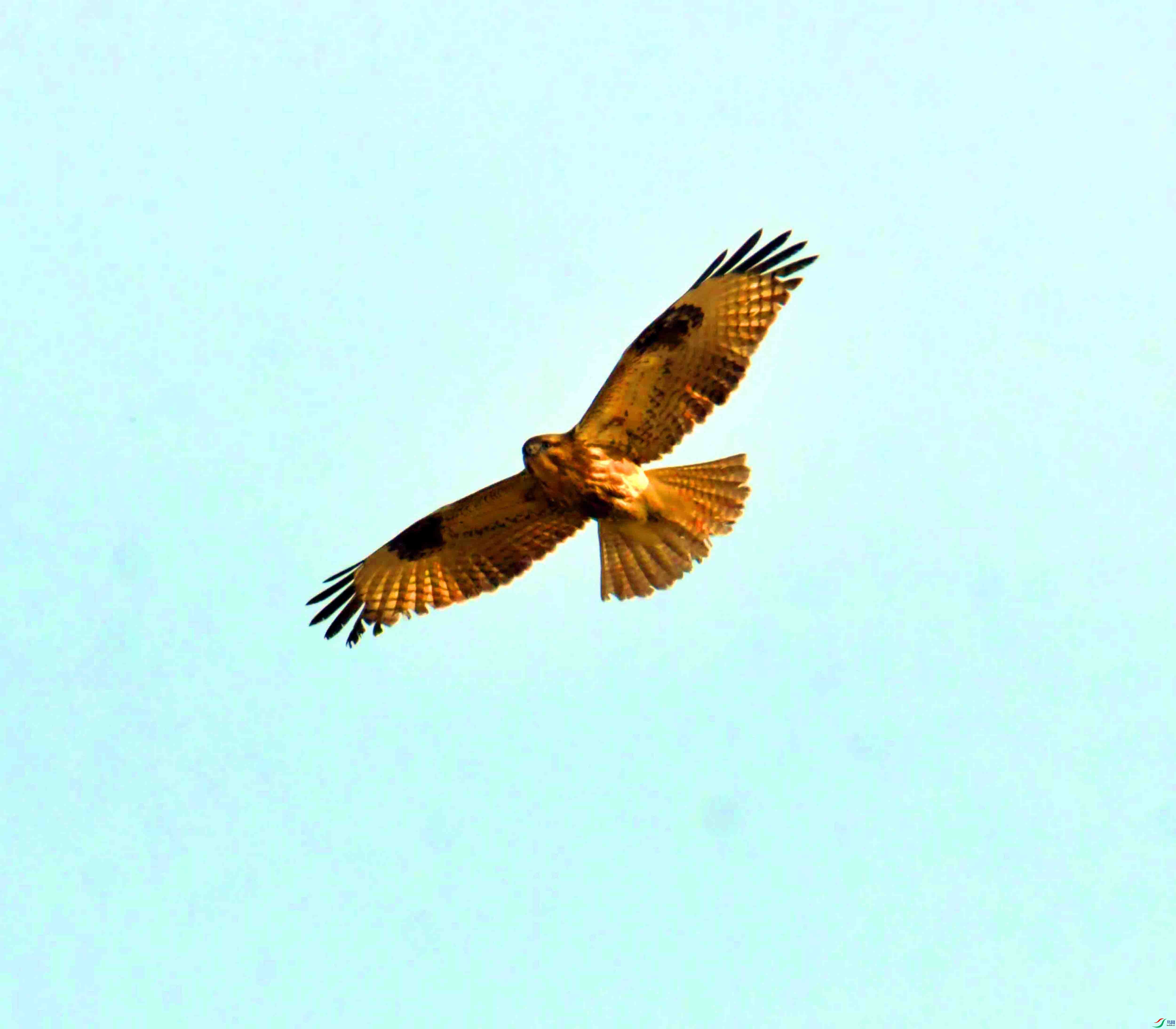 DSC_3793.JPG