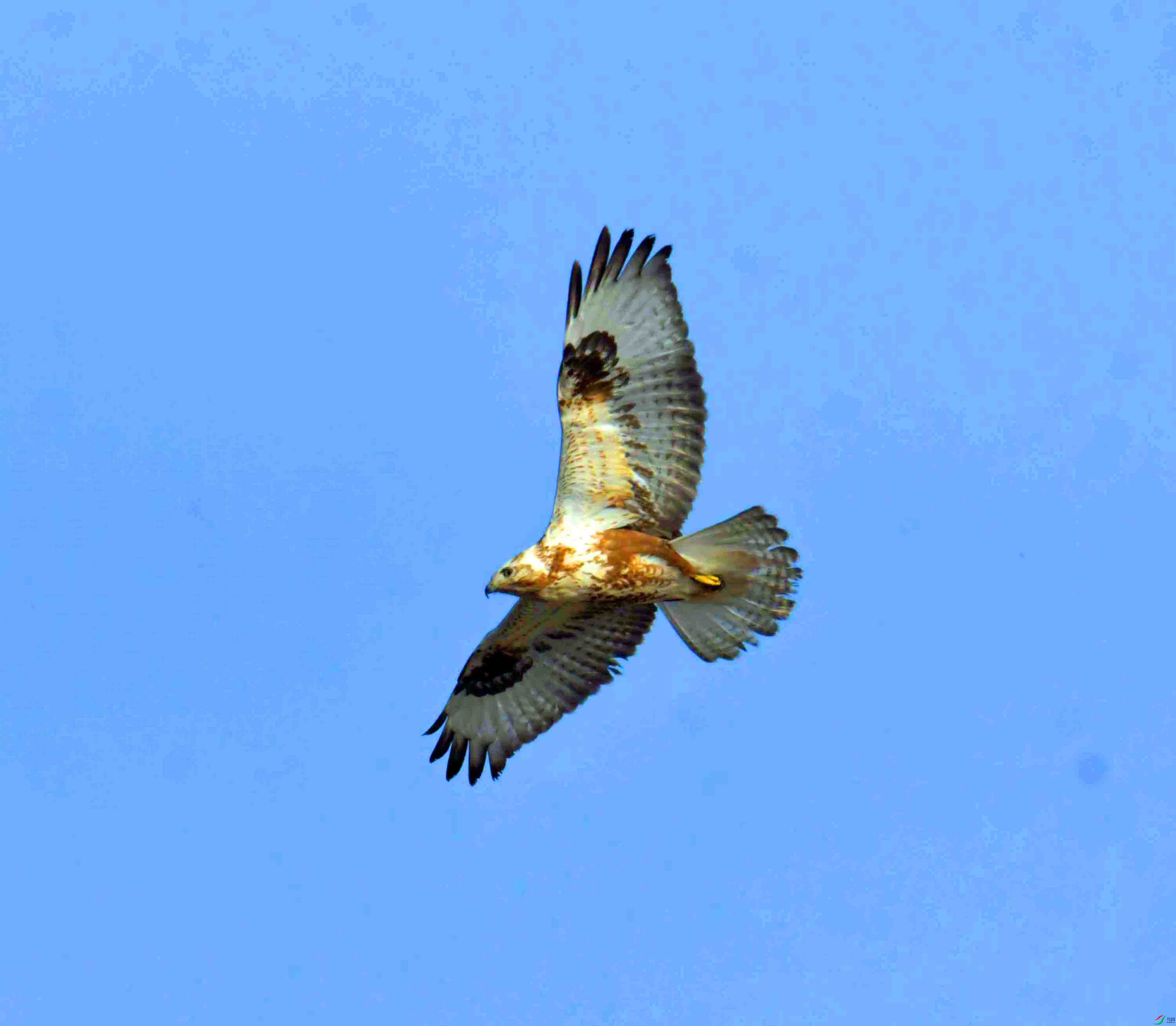 DSC_3800.JPG
