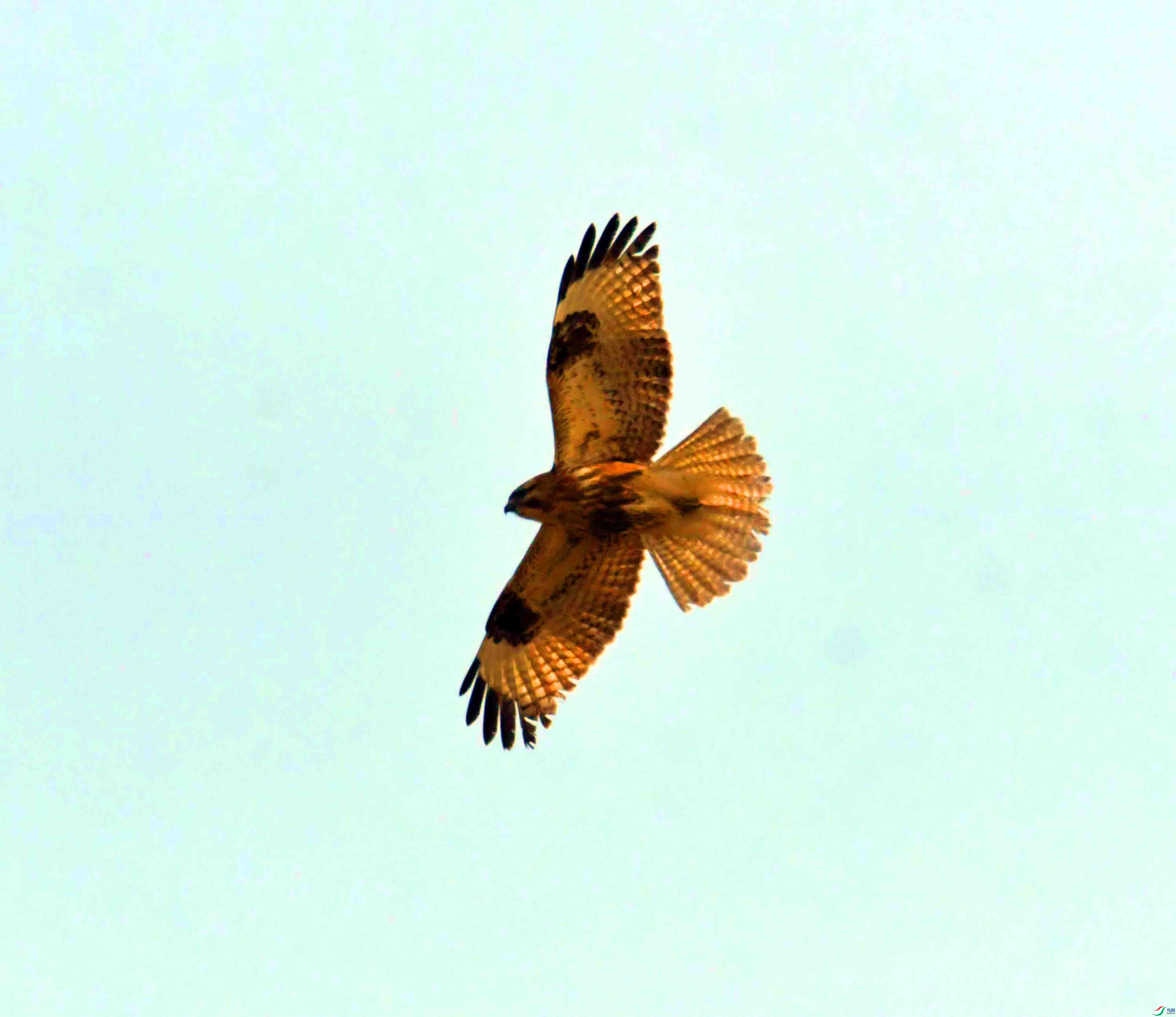 DSC_3797.JPG