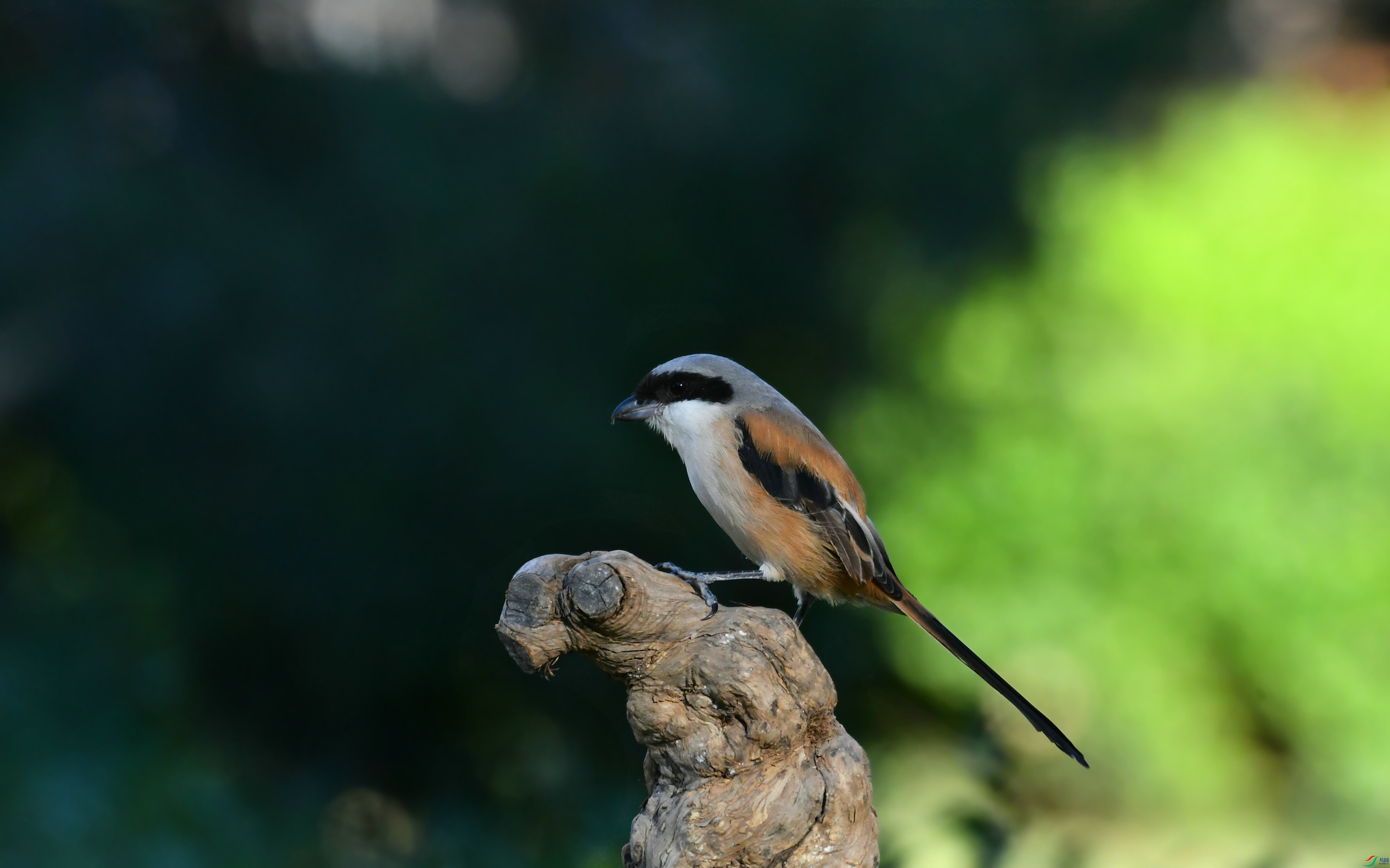 DSC_6120.JPG