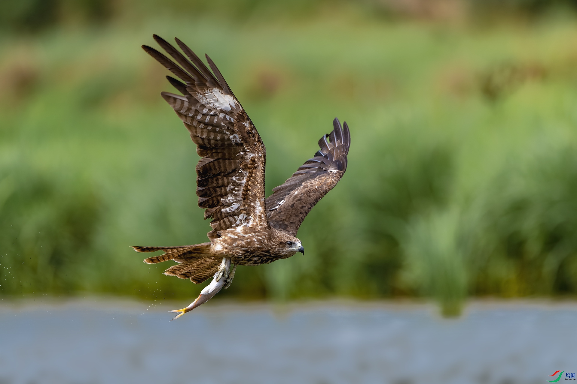 _DSC8063-����ǿ-NR ����С.jpg