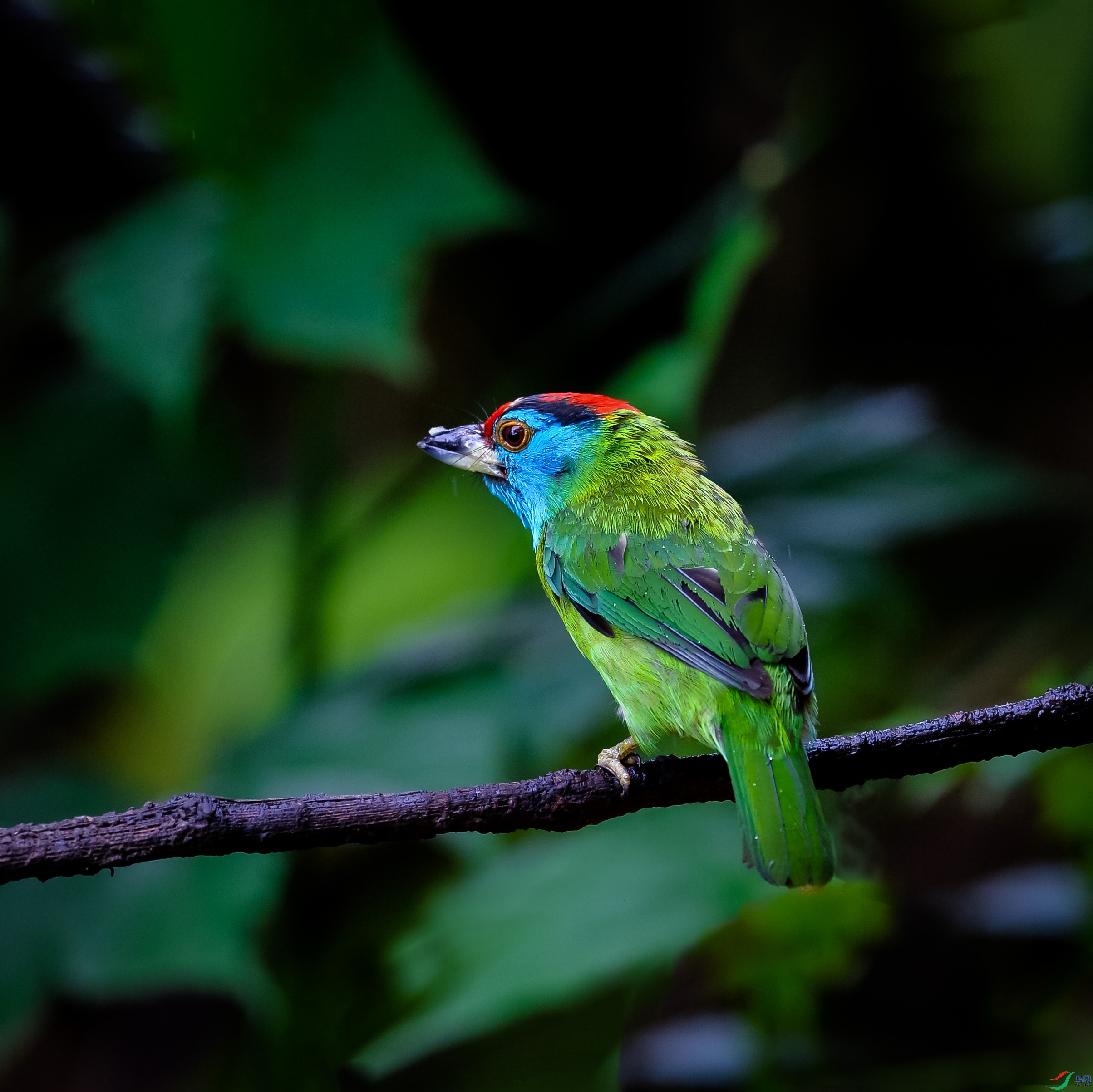 DSC_2264.jpg