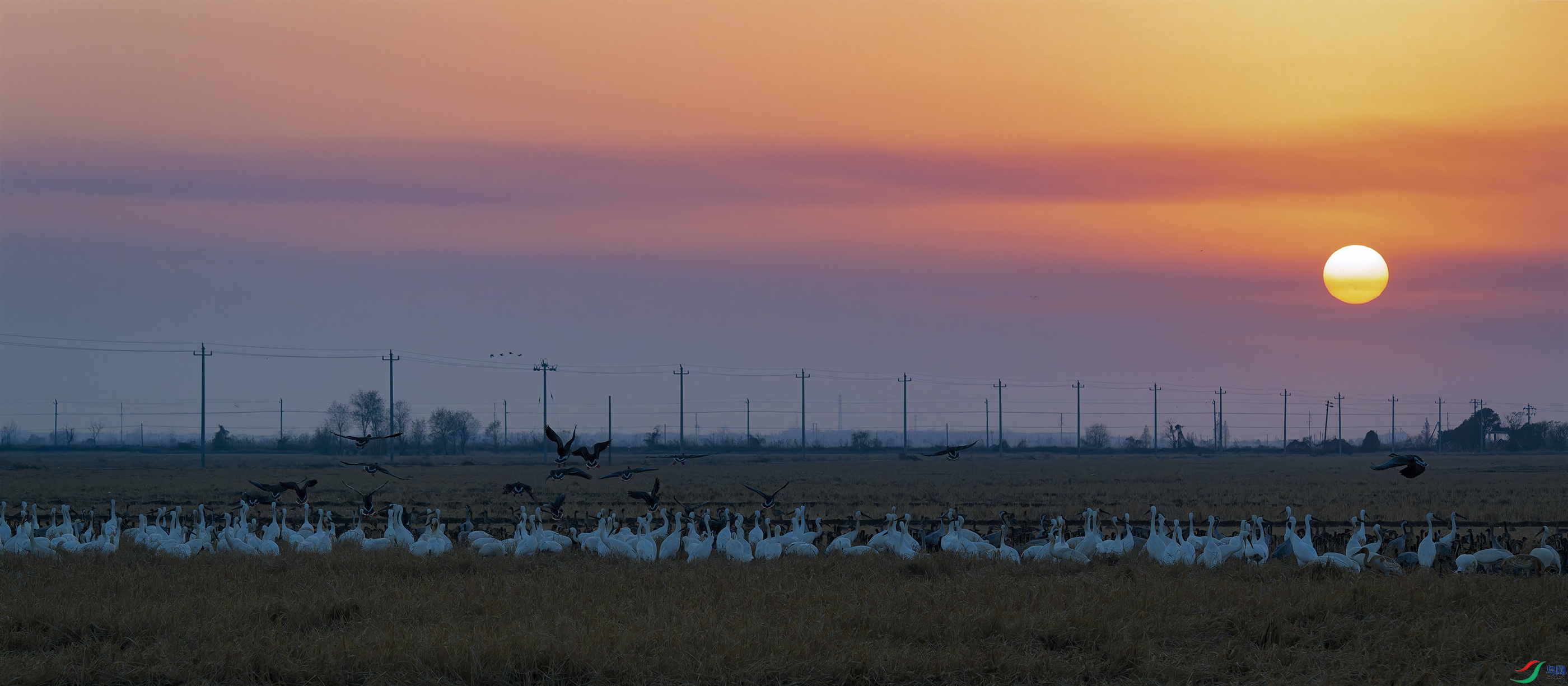 DSC_9585_DxO.jpg