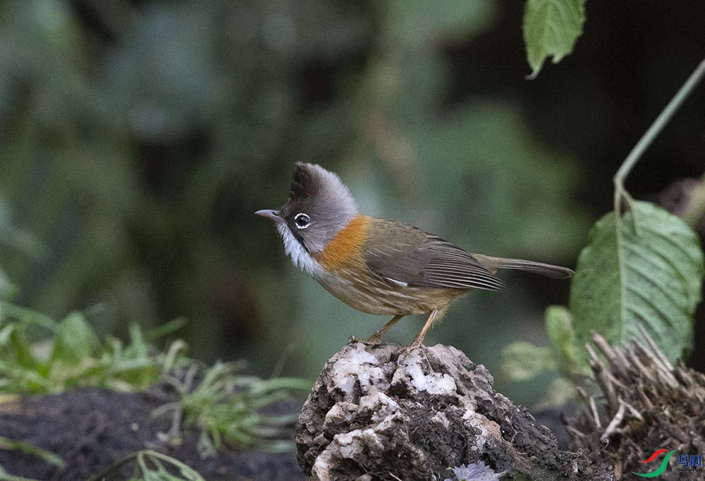 �ƾ����� (2).jpg