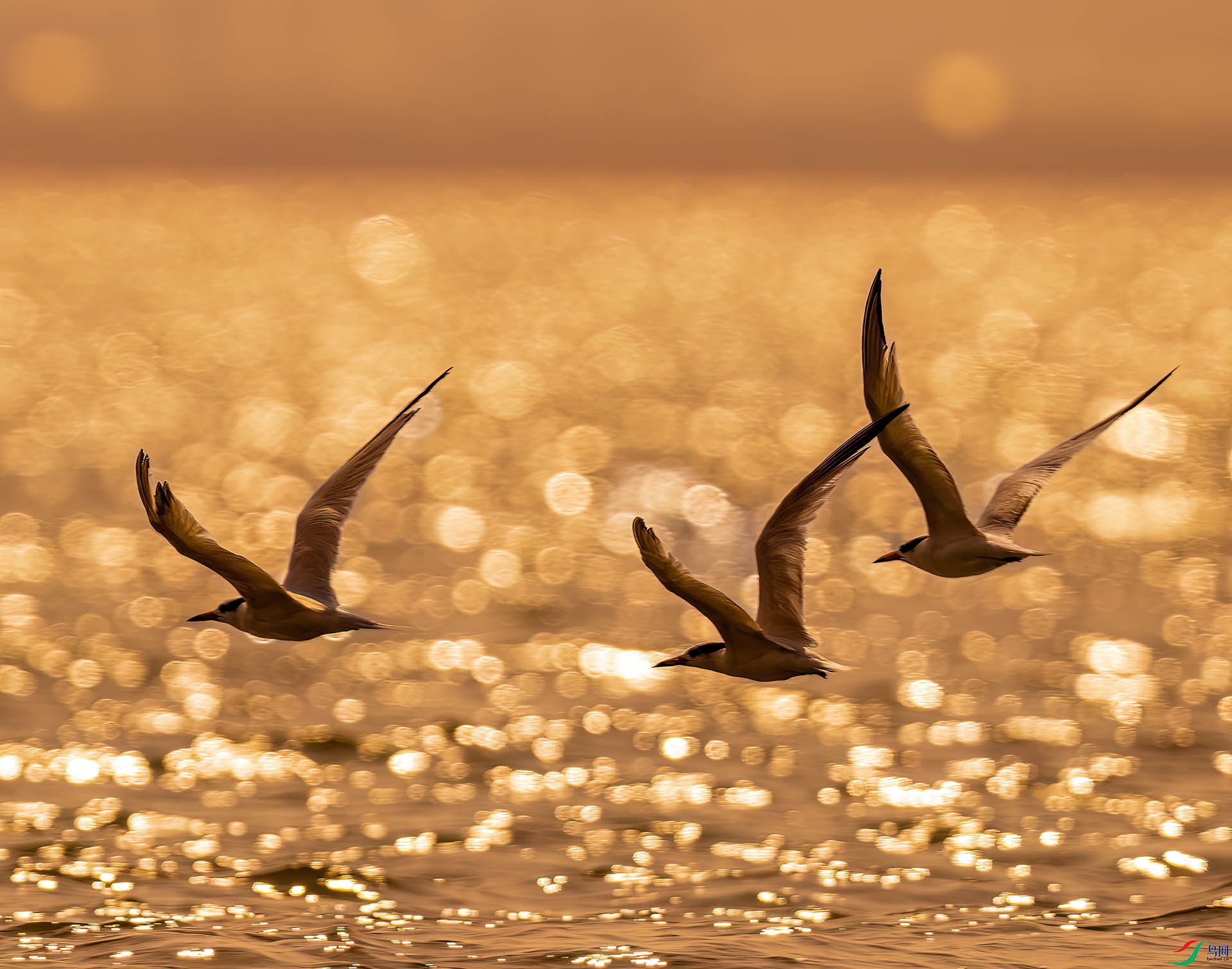 DSC_1051 ����.jpg