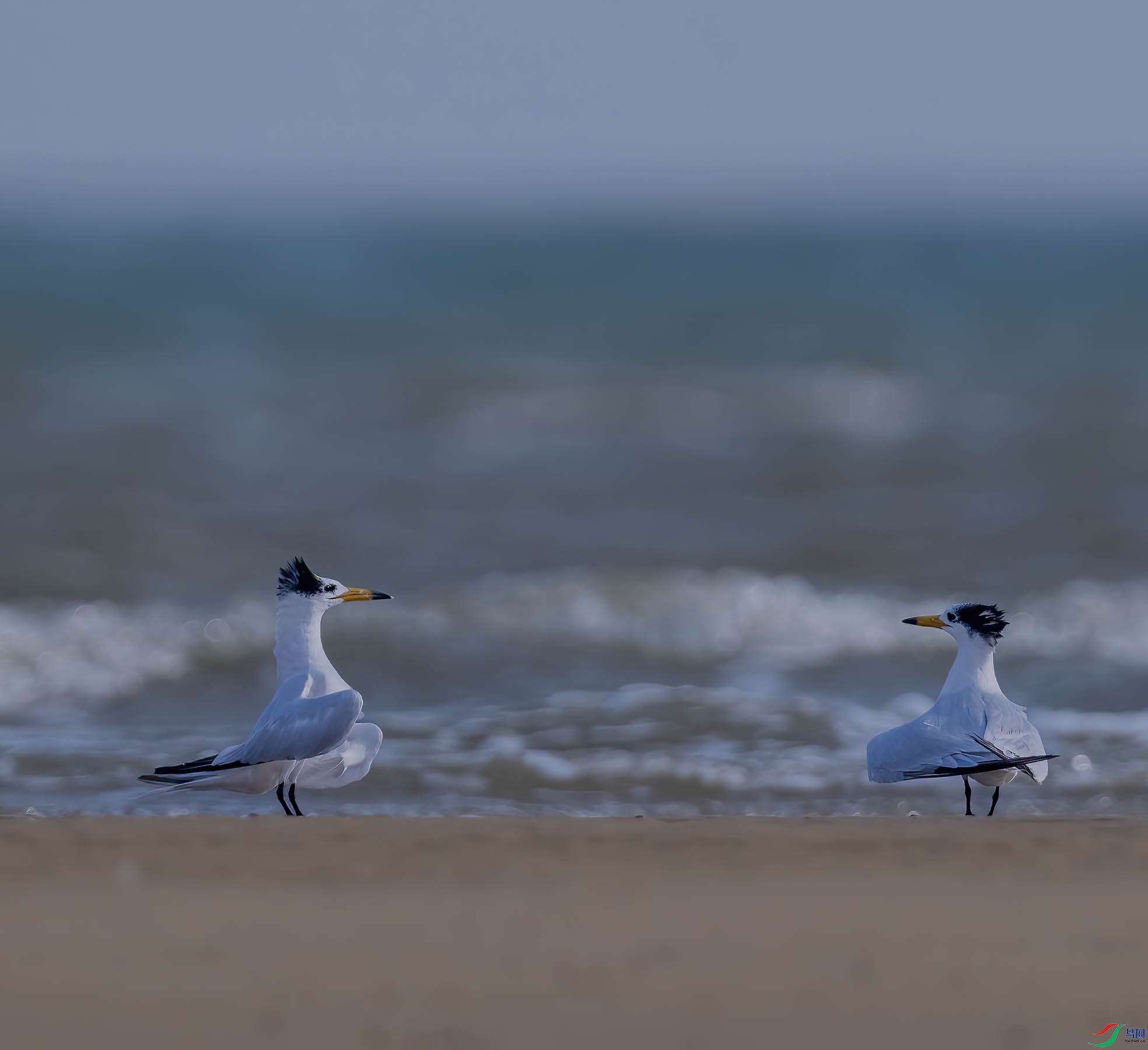 DSC_1356 ����.jpg