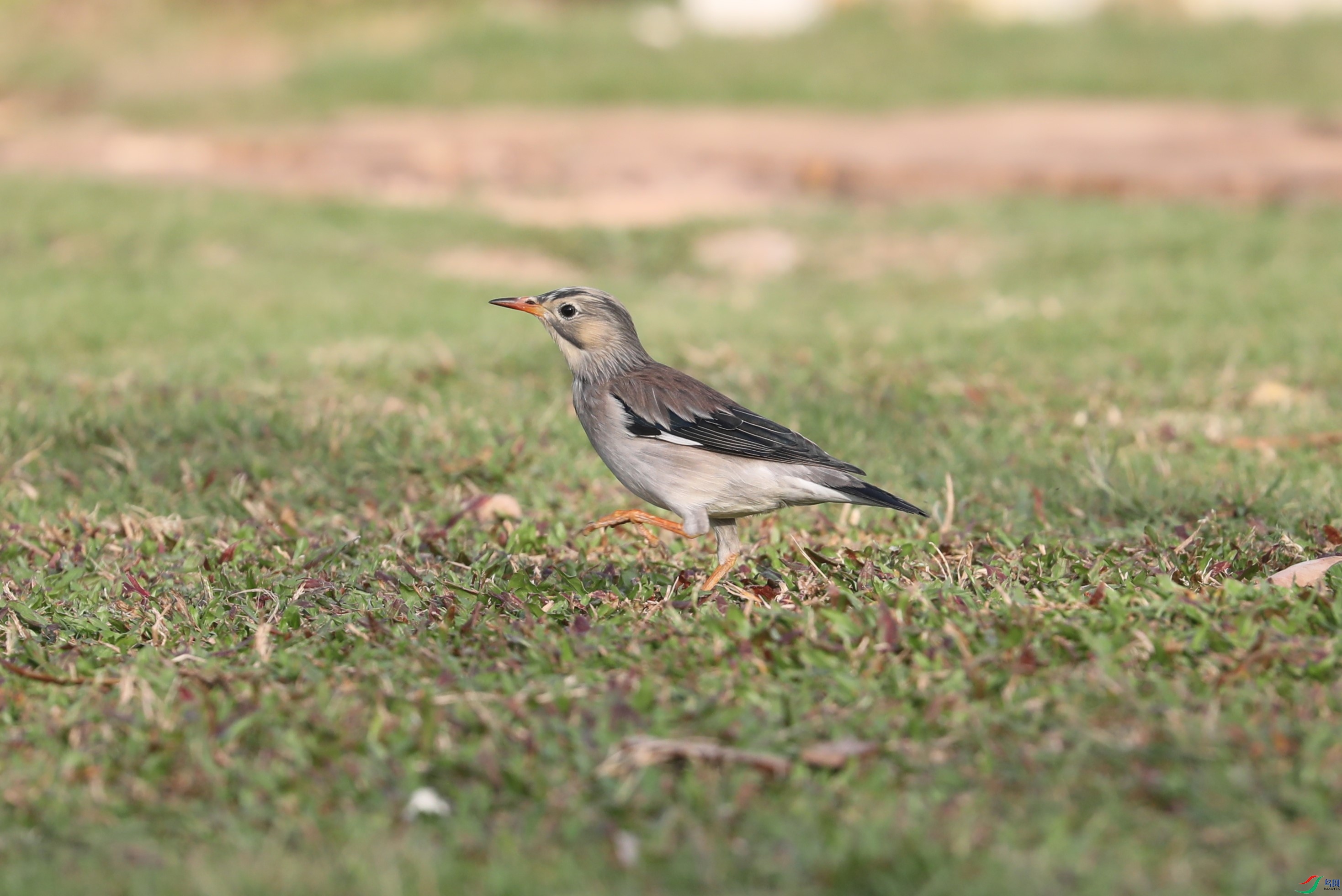 BL7A9557.JPG