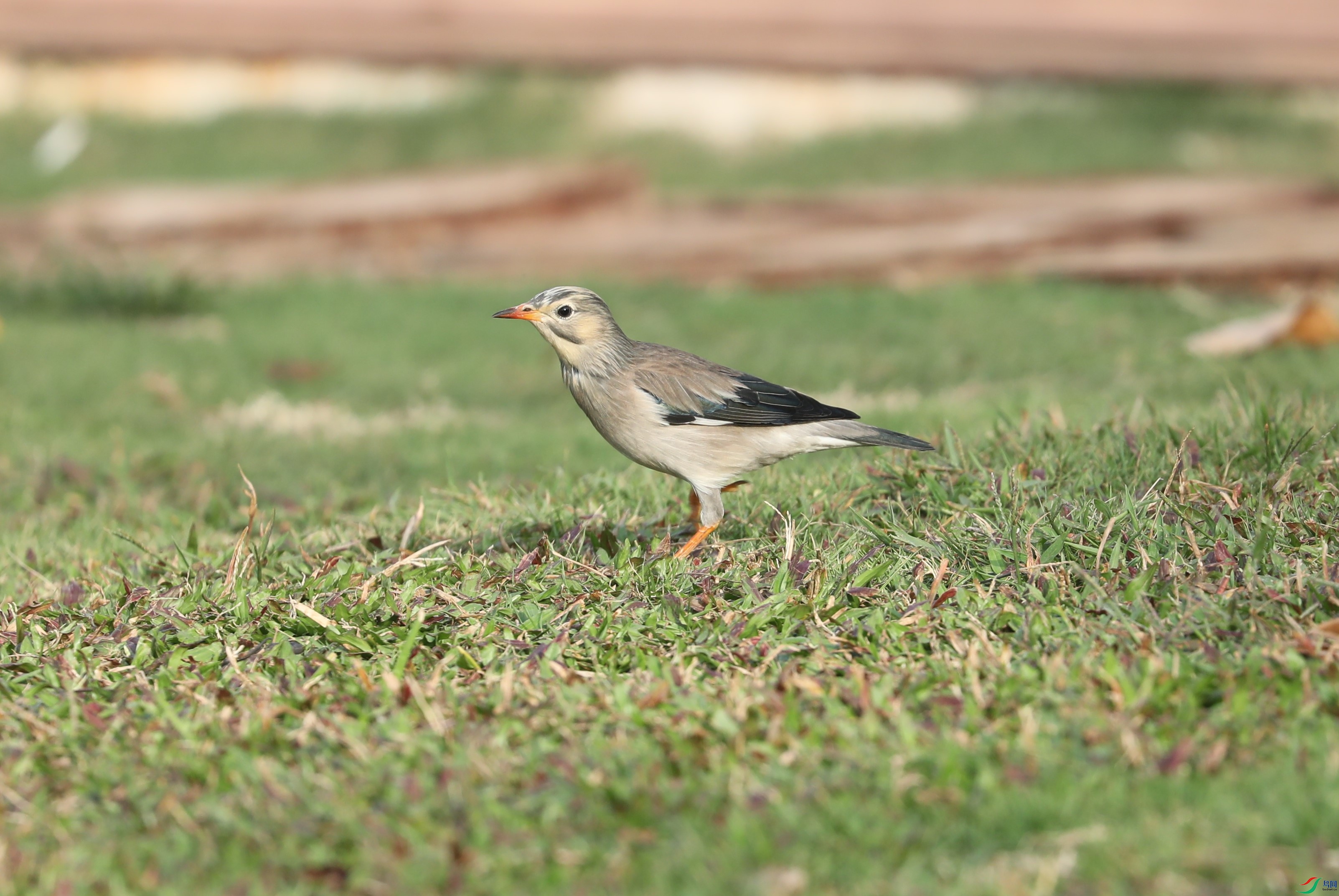 BL7A9547.JPG