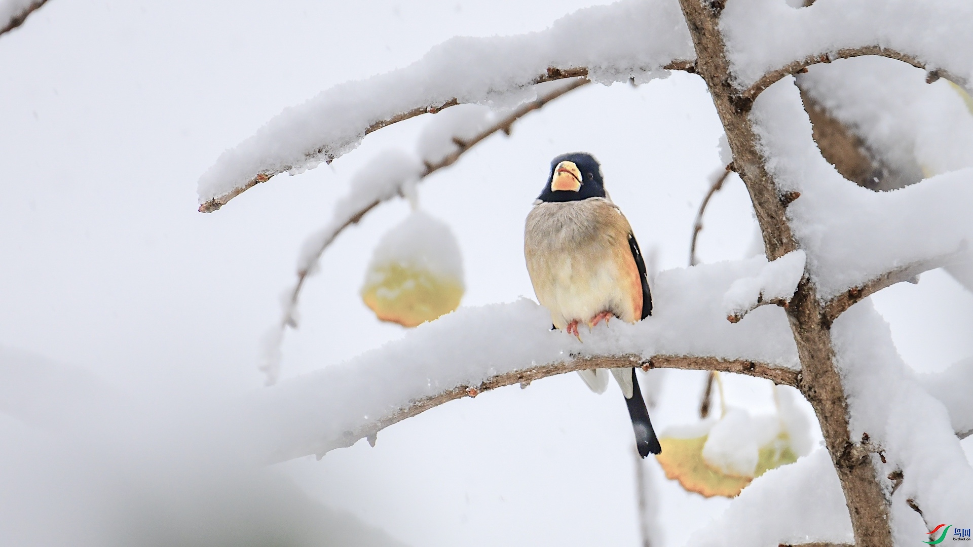 1XXL_1424 ���� 2.jpeg