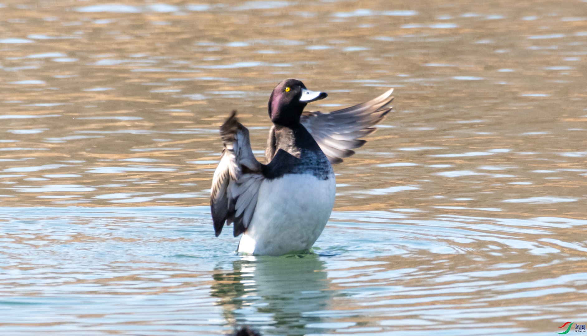 DSC_6152.jpg