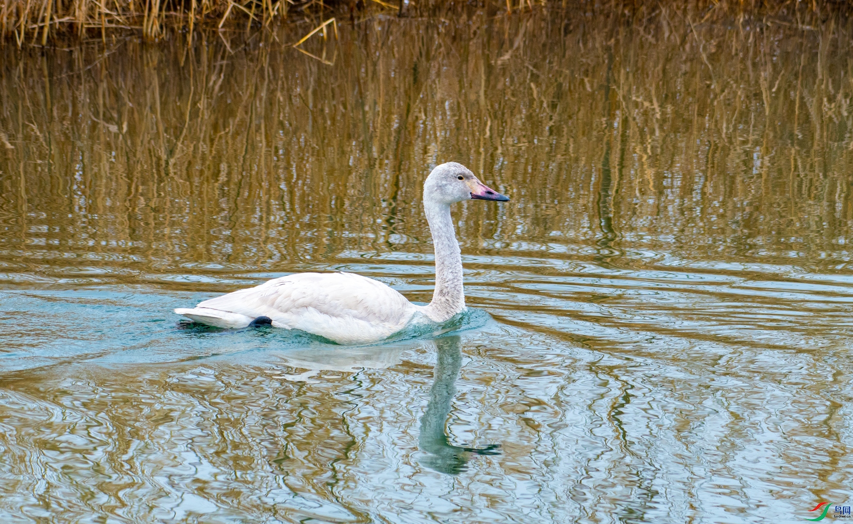 DSC_6781.jpg