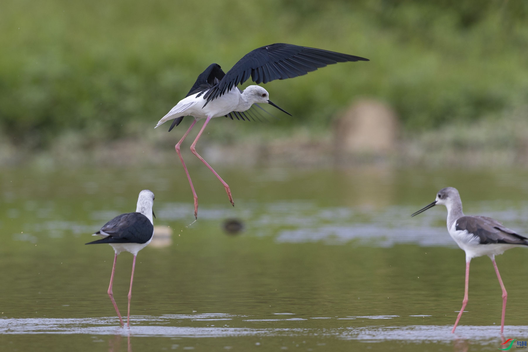 �ڳ᳤����1