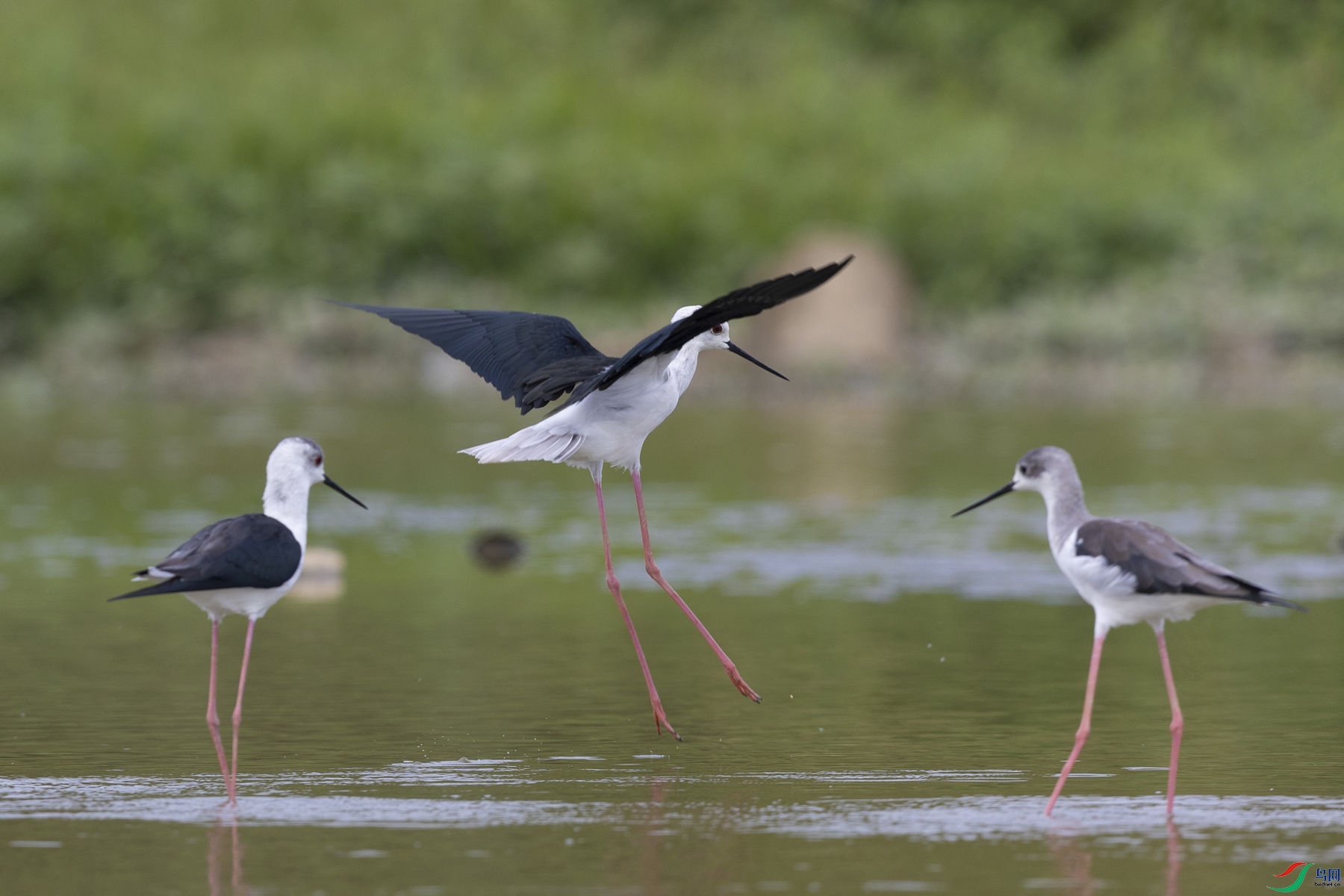 �ڳ᳤����5