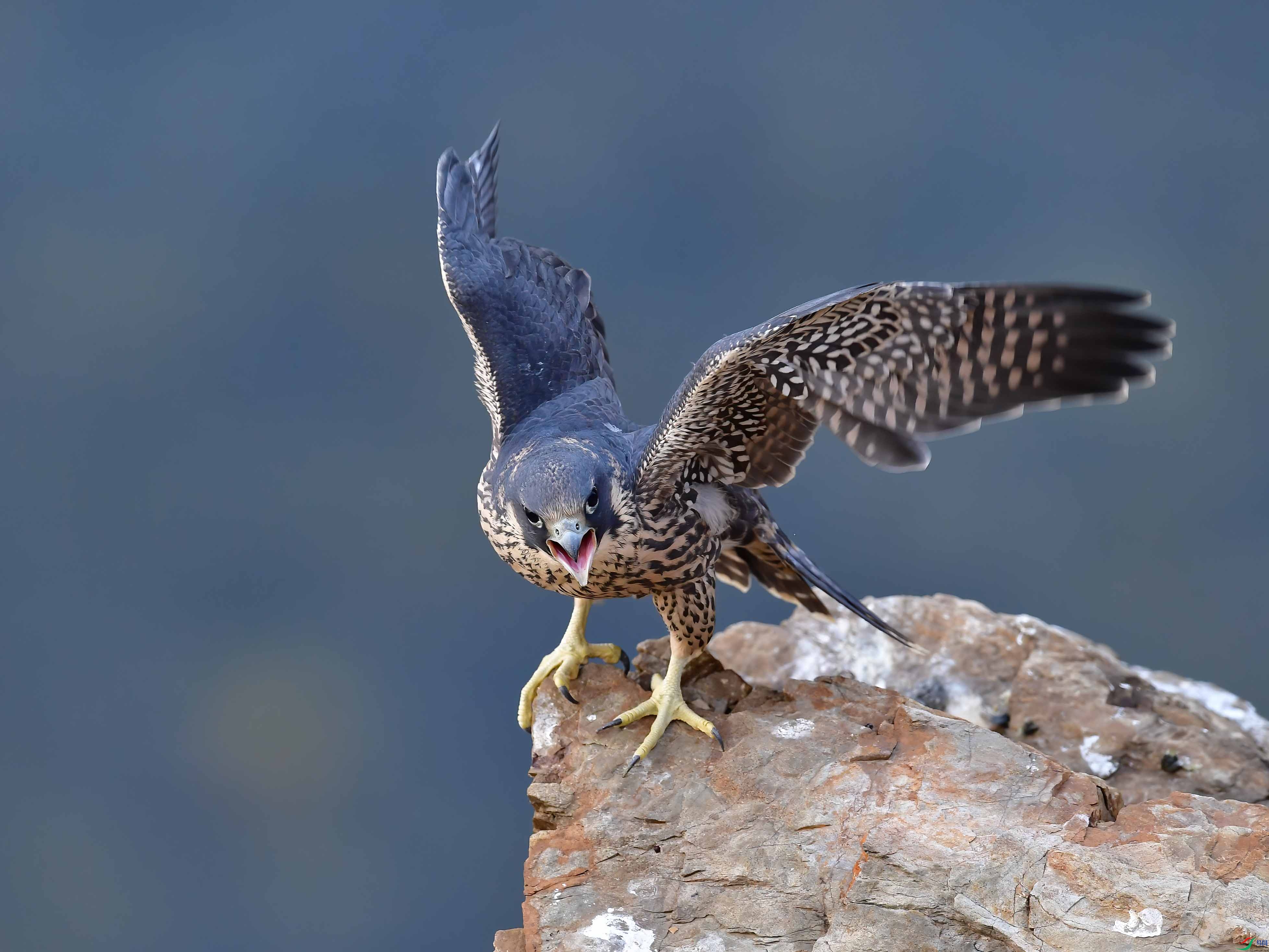 DSC_9598_���� ����.jpg