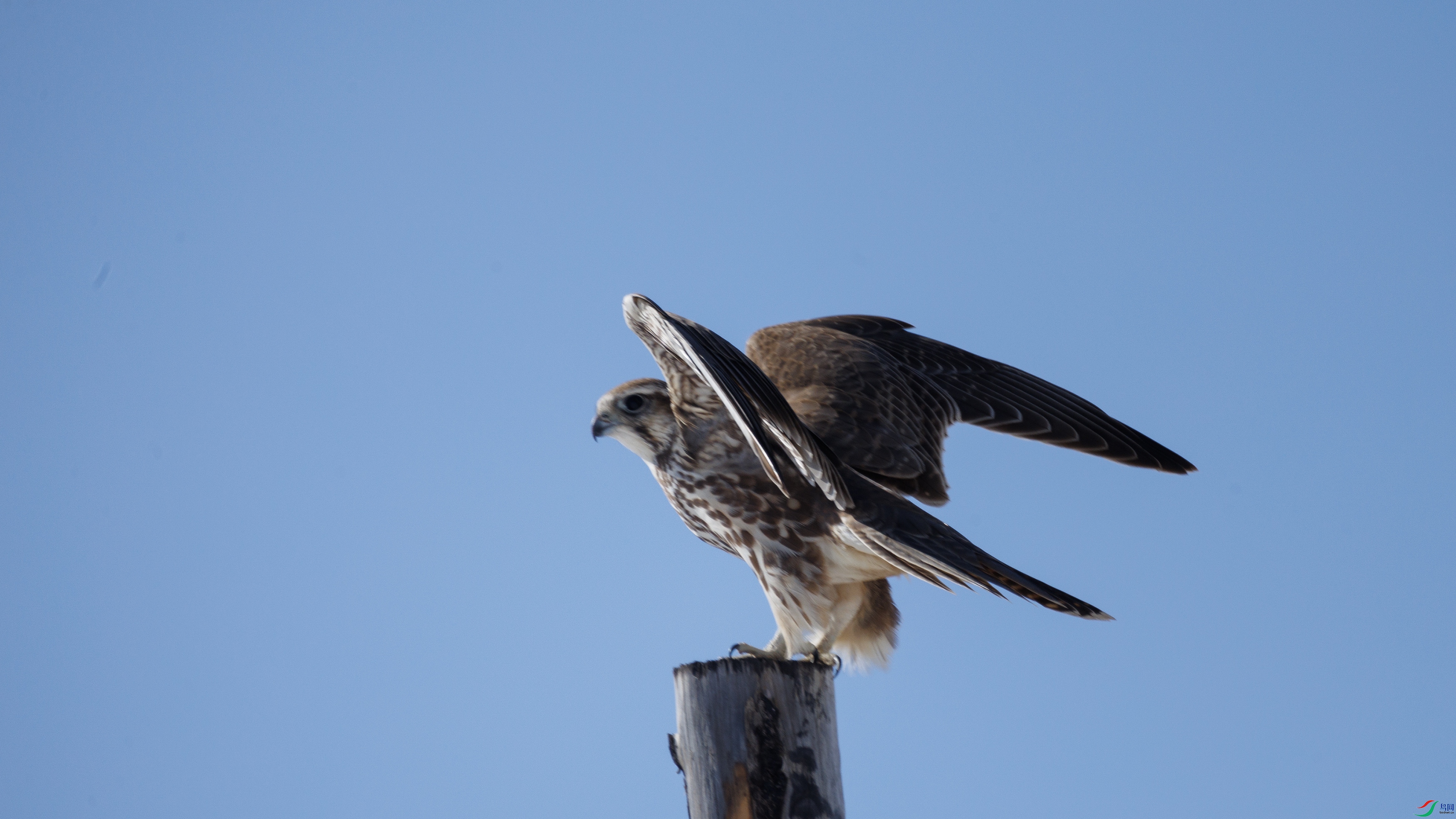 7X5A2470 ����00.jpg